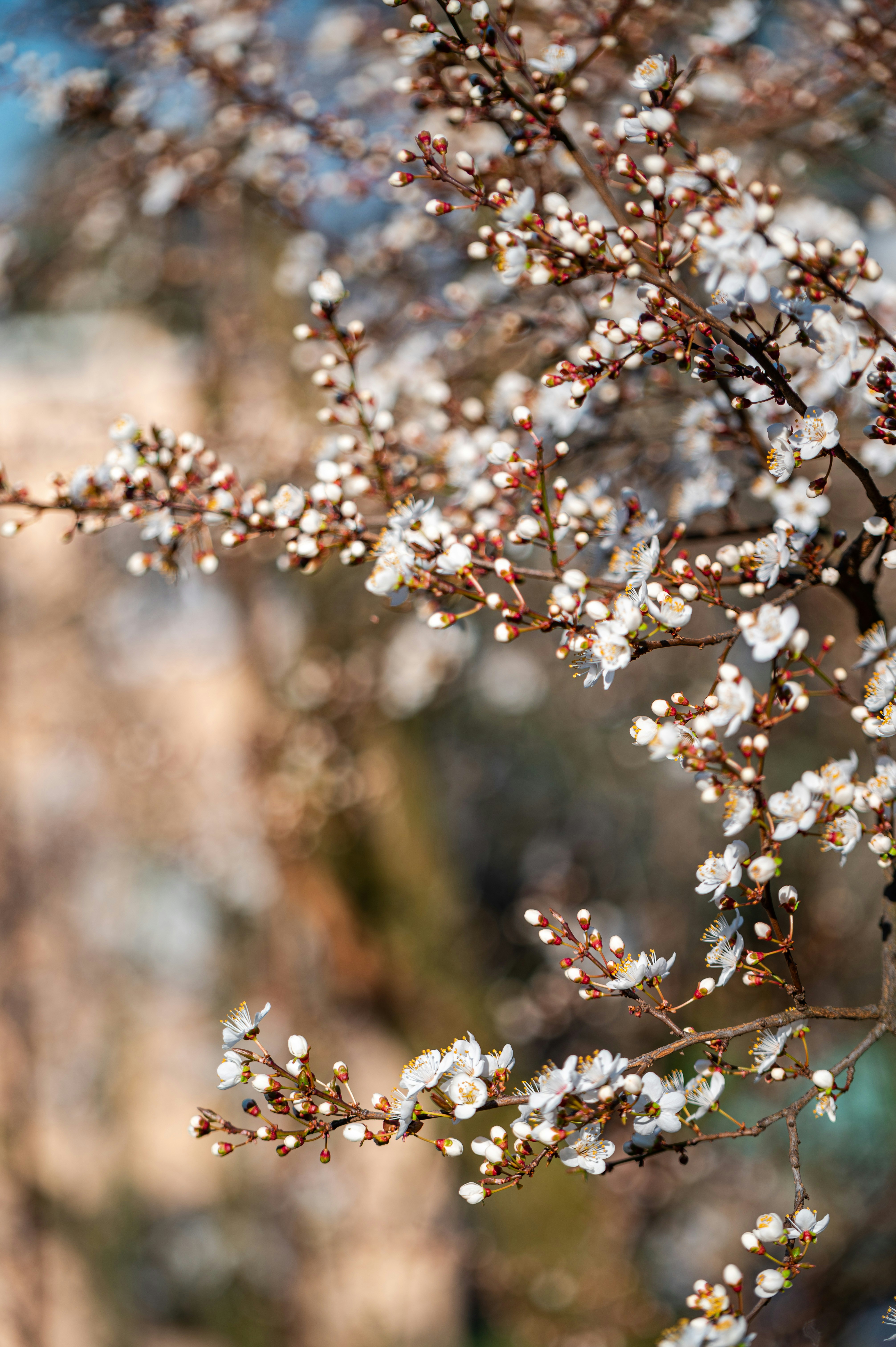 Photo by andreasbrun