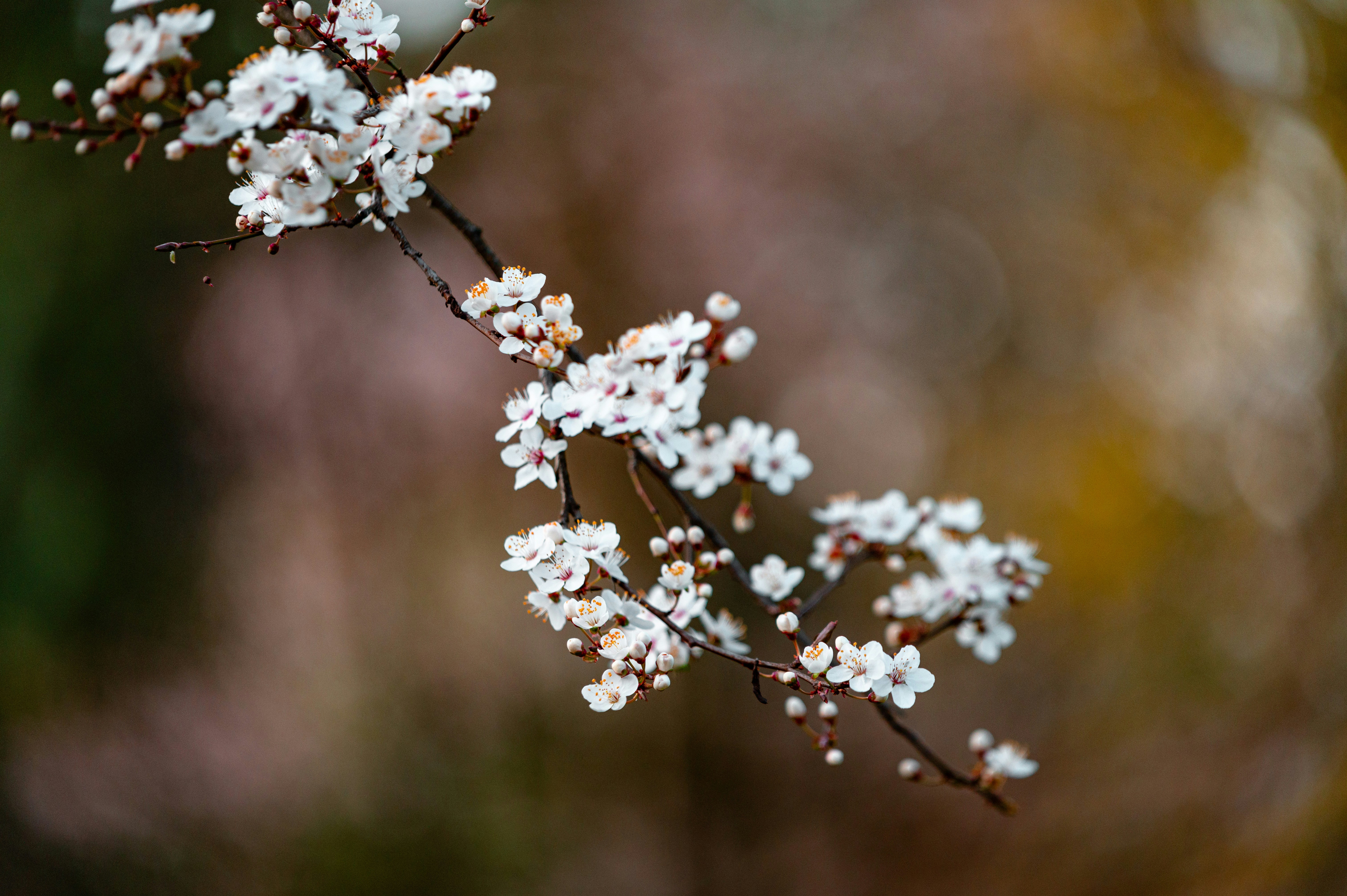 Photo by andreasbrun