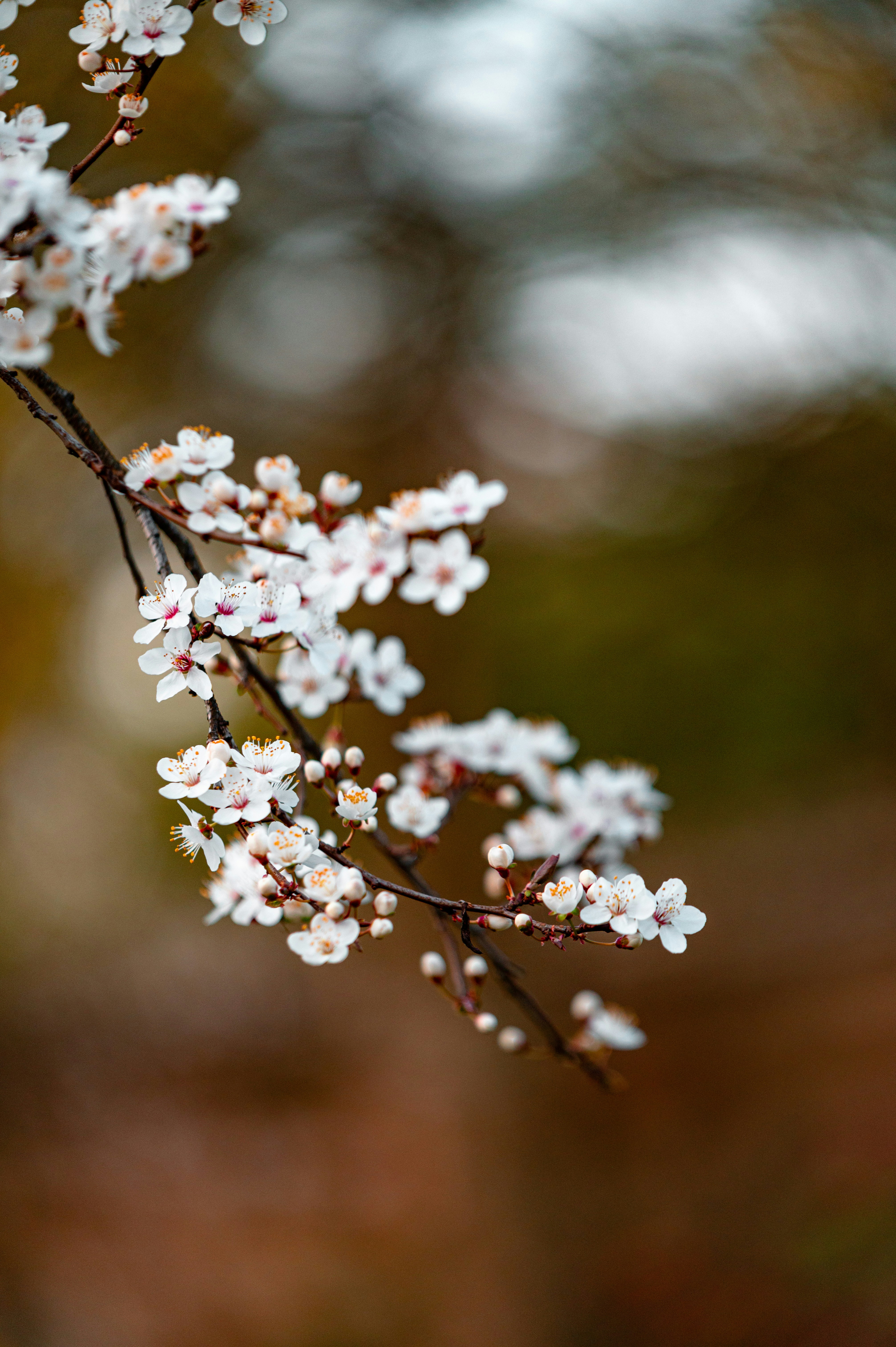 Photo by andreasbrun