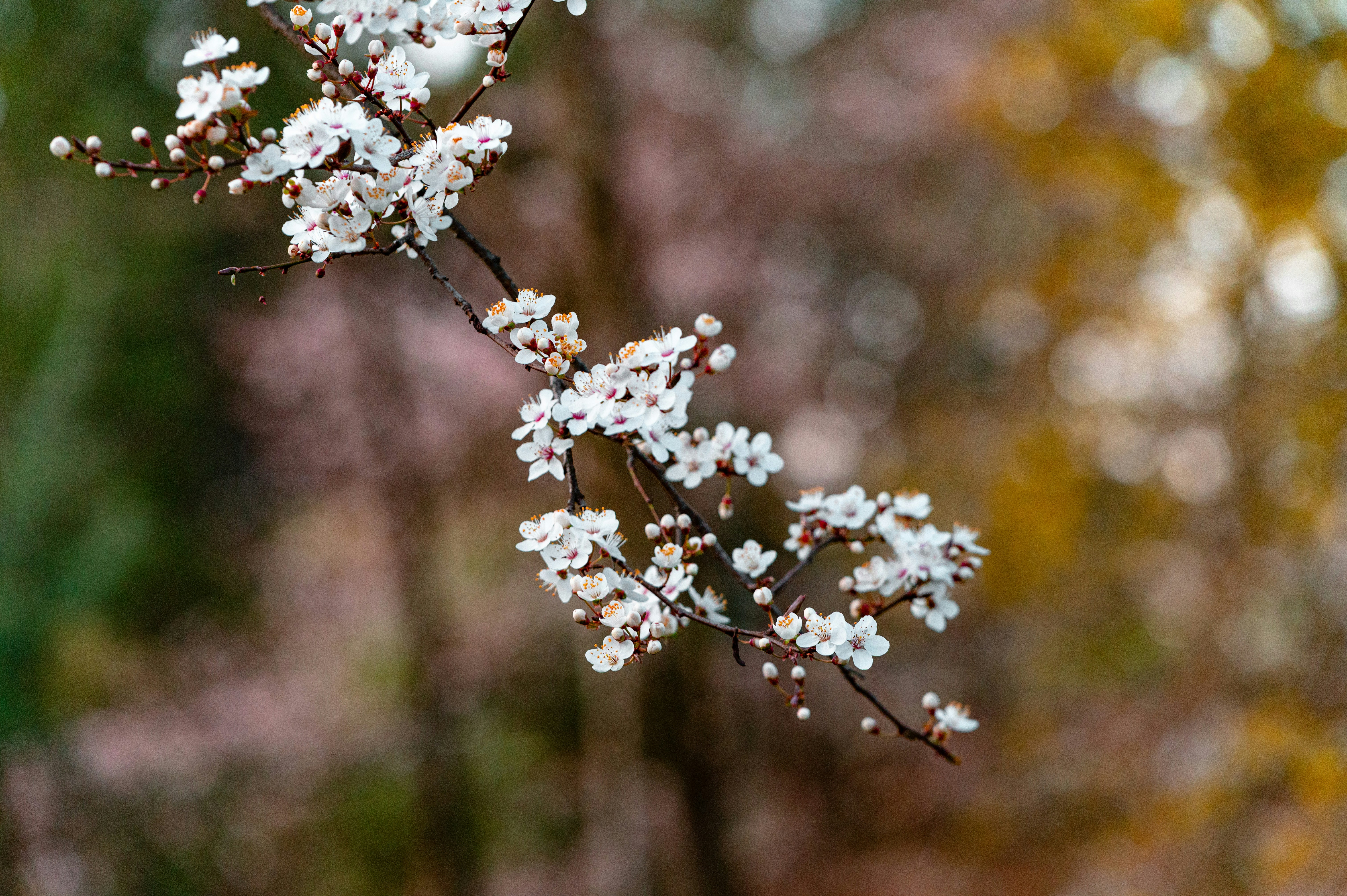 Photo by andreasbrun