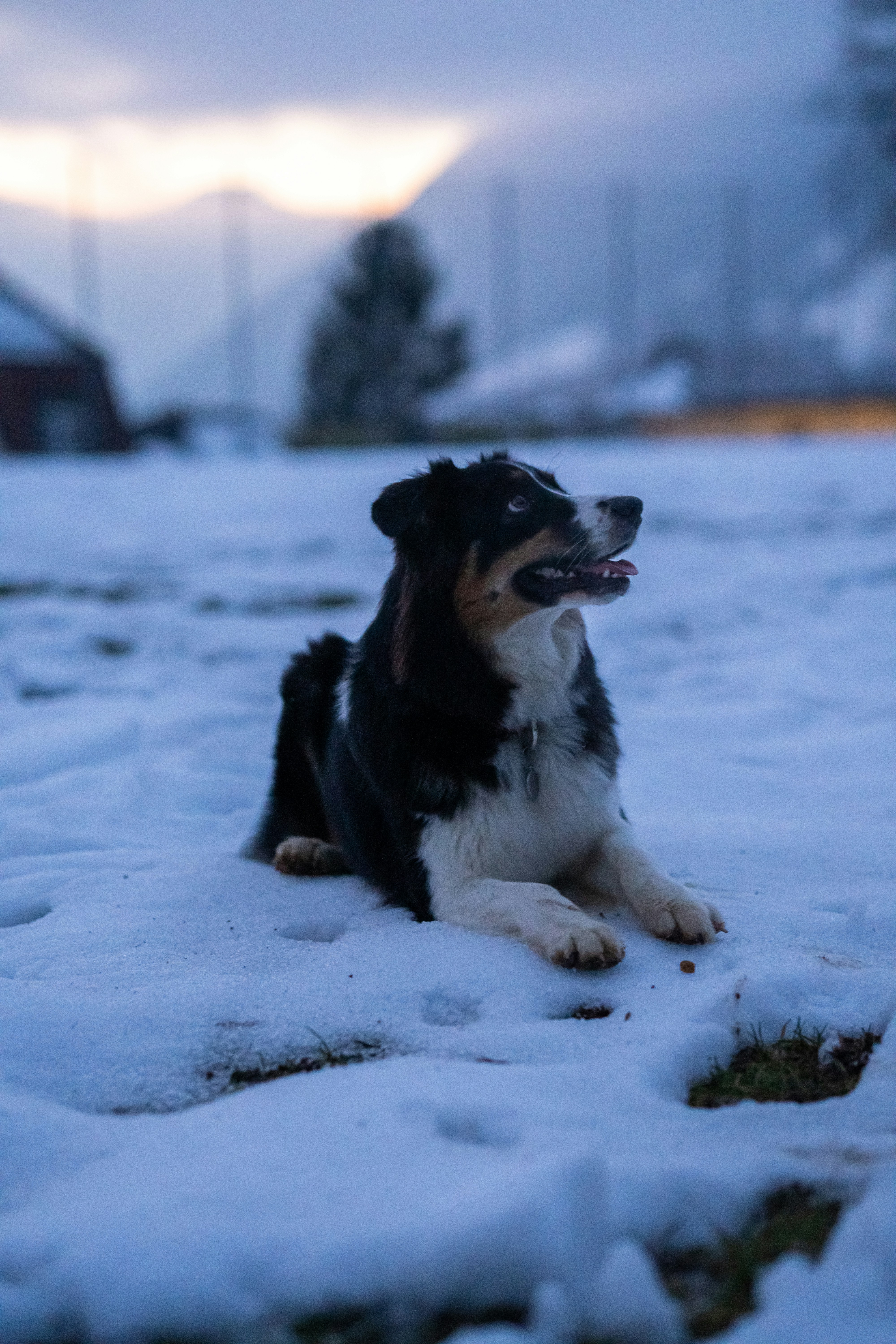 Photo by bernhardvisuals