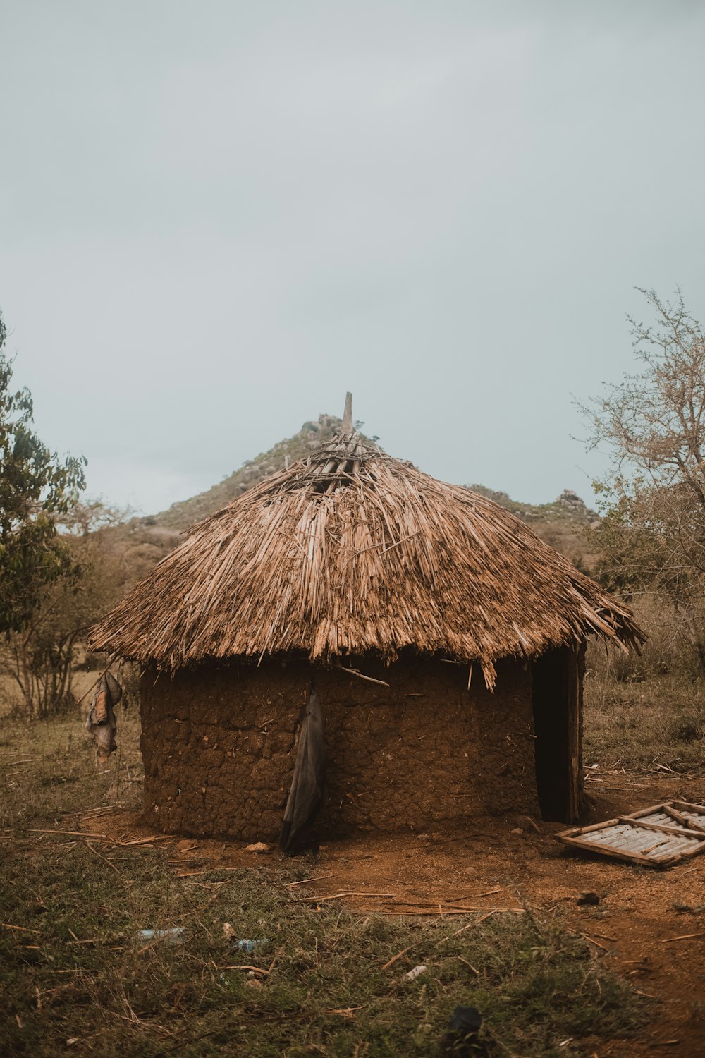 a hut with a thatched roof in a field