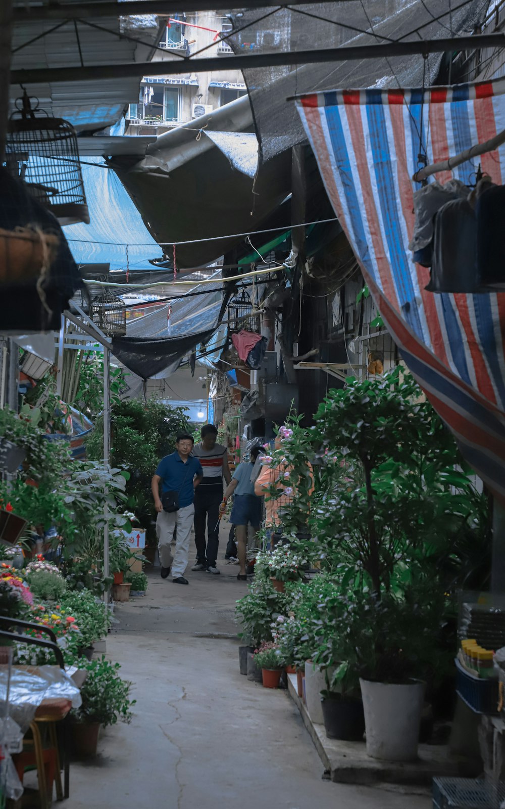 a group of people walking down a narrow alley way