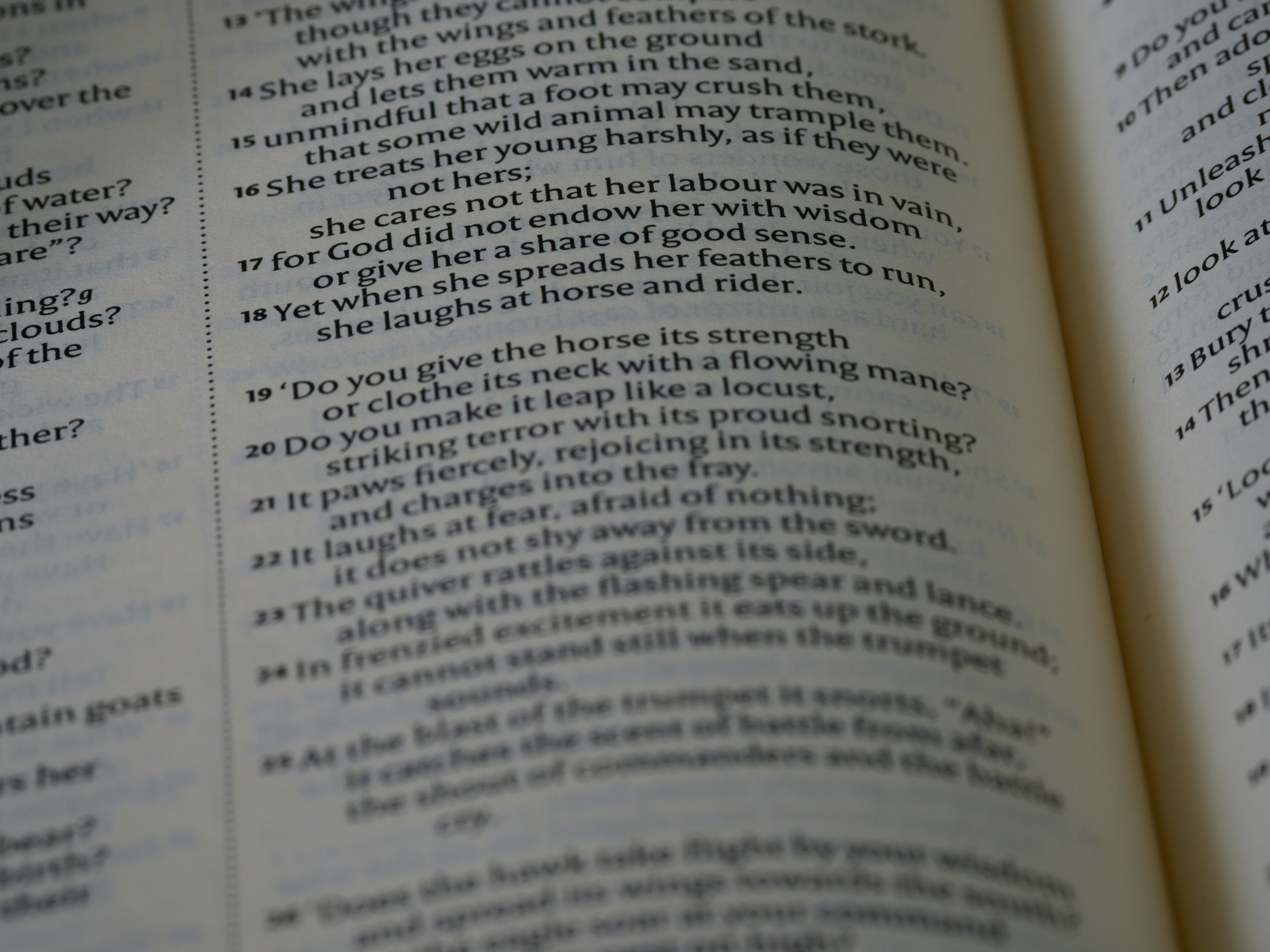 A close up of an open book with text photo – Free Grey Image on Unsplash