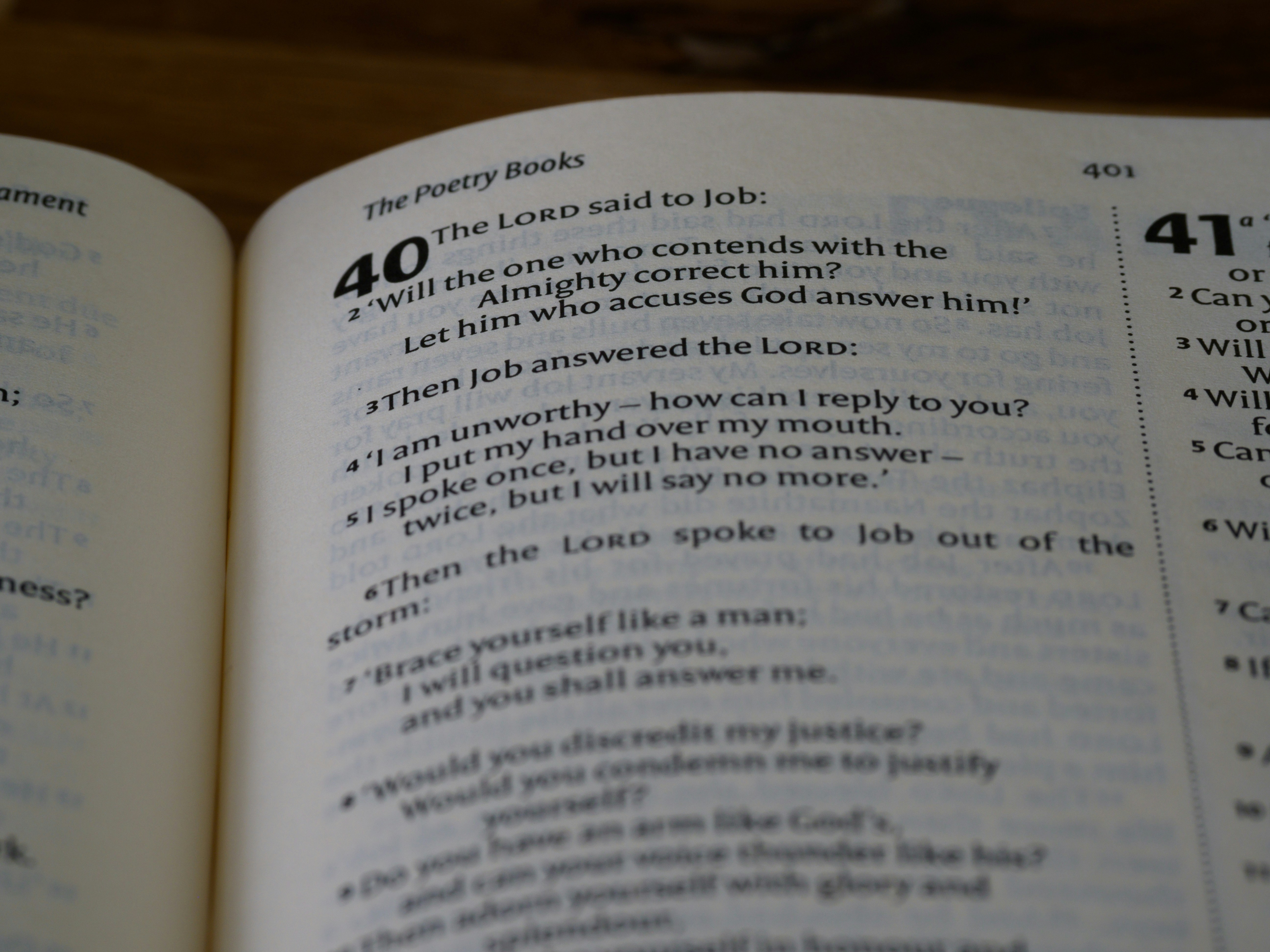 Un livre ouvert avec un certain nombre de mots dessus photo Photo Gris Gratuite sur Unsplash