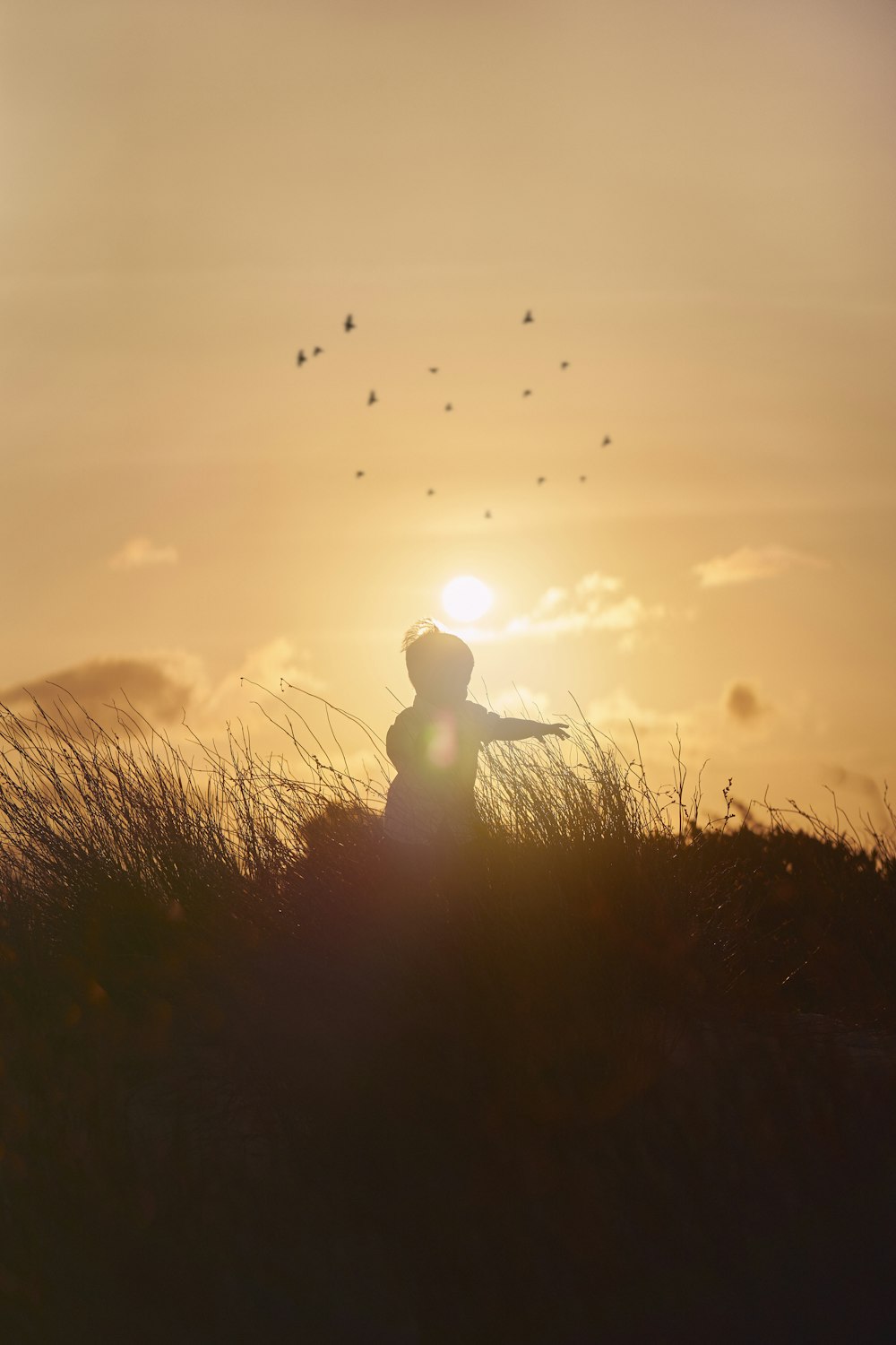 a silhouette of a person sitting on a hill at sunset