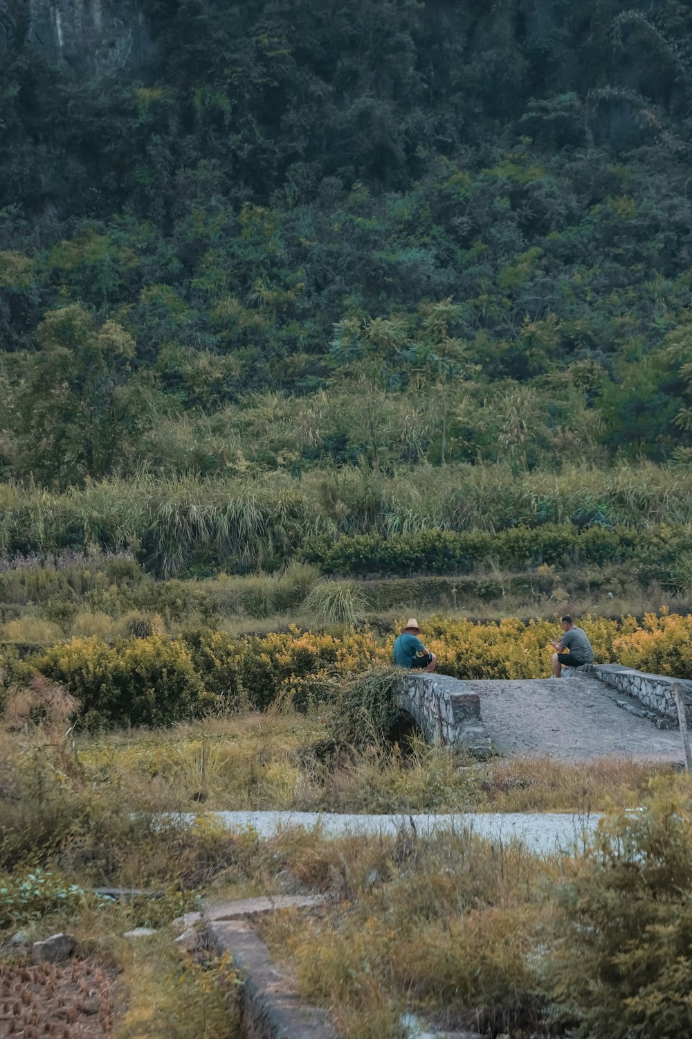 a couple of people sitting on a bench in a field