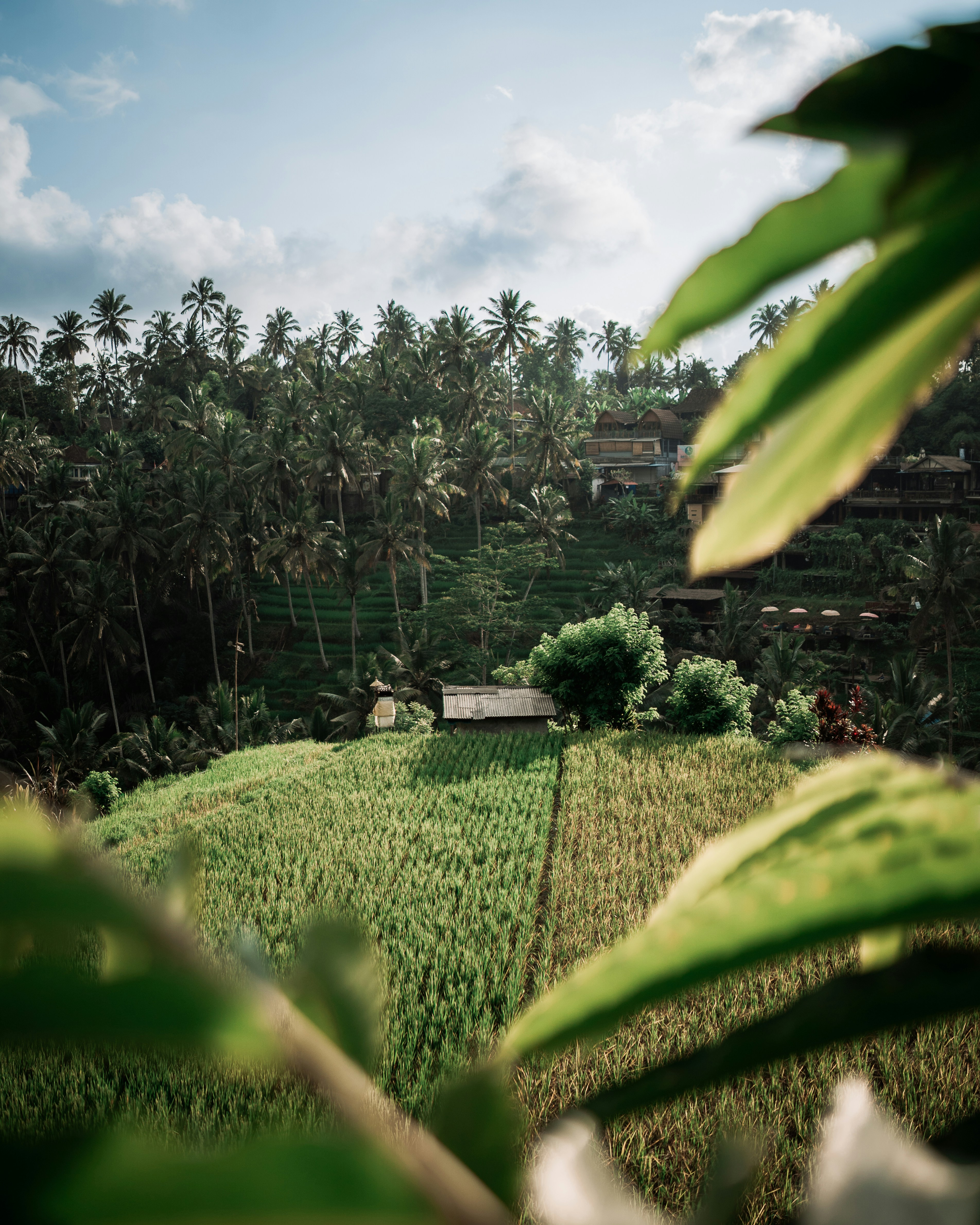 Photo by spensersembrat