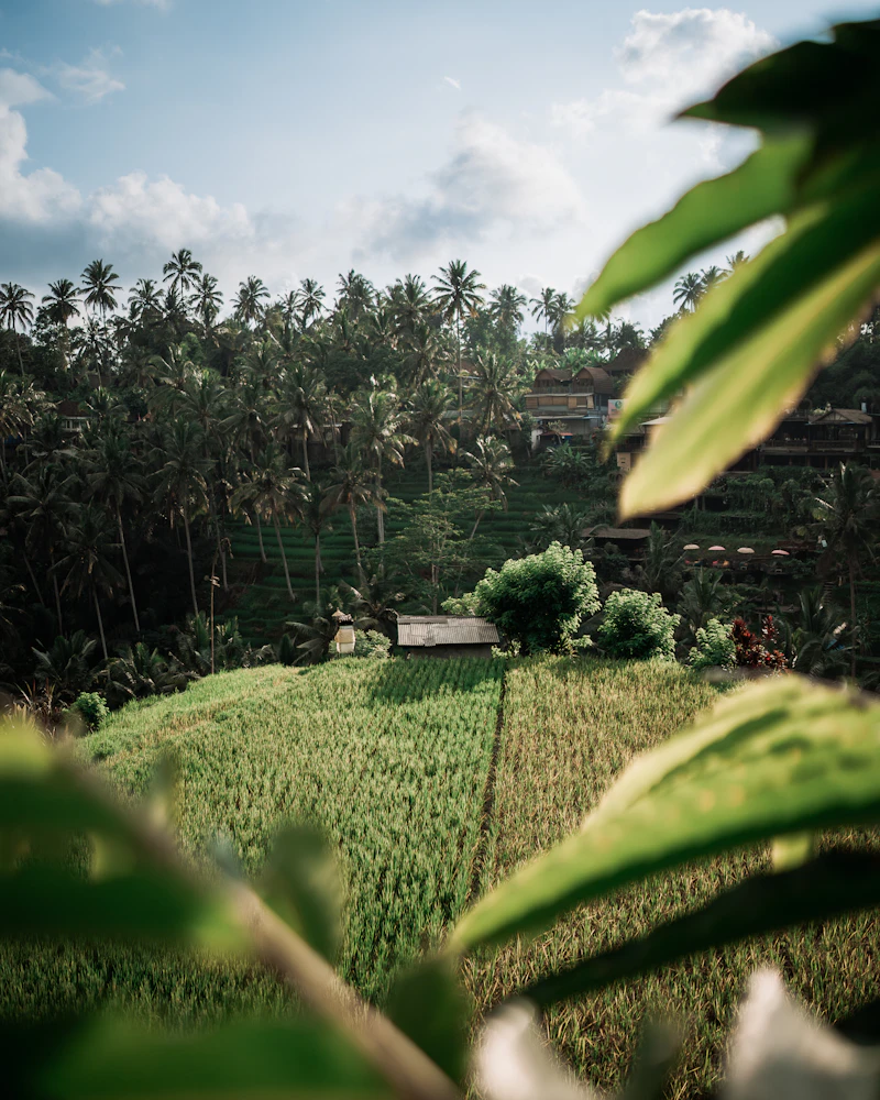 Bali
