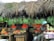 A rustic market stall displays an array of fresh produce, including baskets of tomatoes, citrus fruits, and green vegetables. A woman dressed in a colorful outfit and headscarf sits near the produce, looking to the side. The stall is covered with a thatched roof made of palm leaves, and the background features lush green foliage.