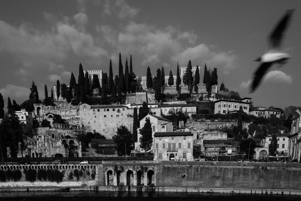 a black and white photo of a castle on a hill