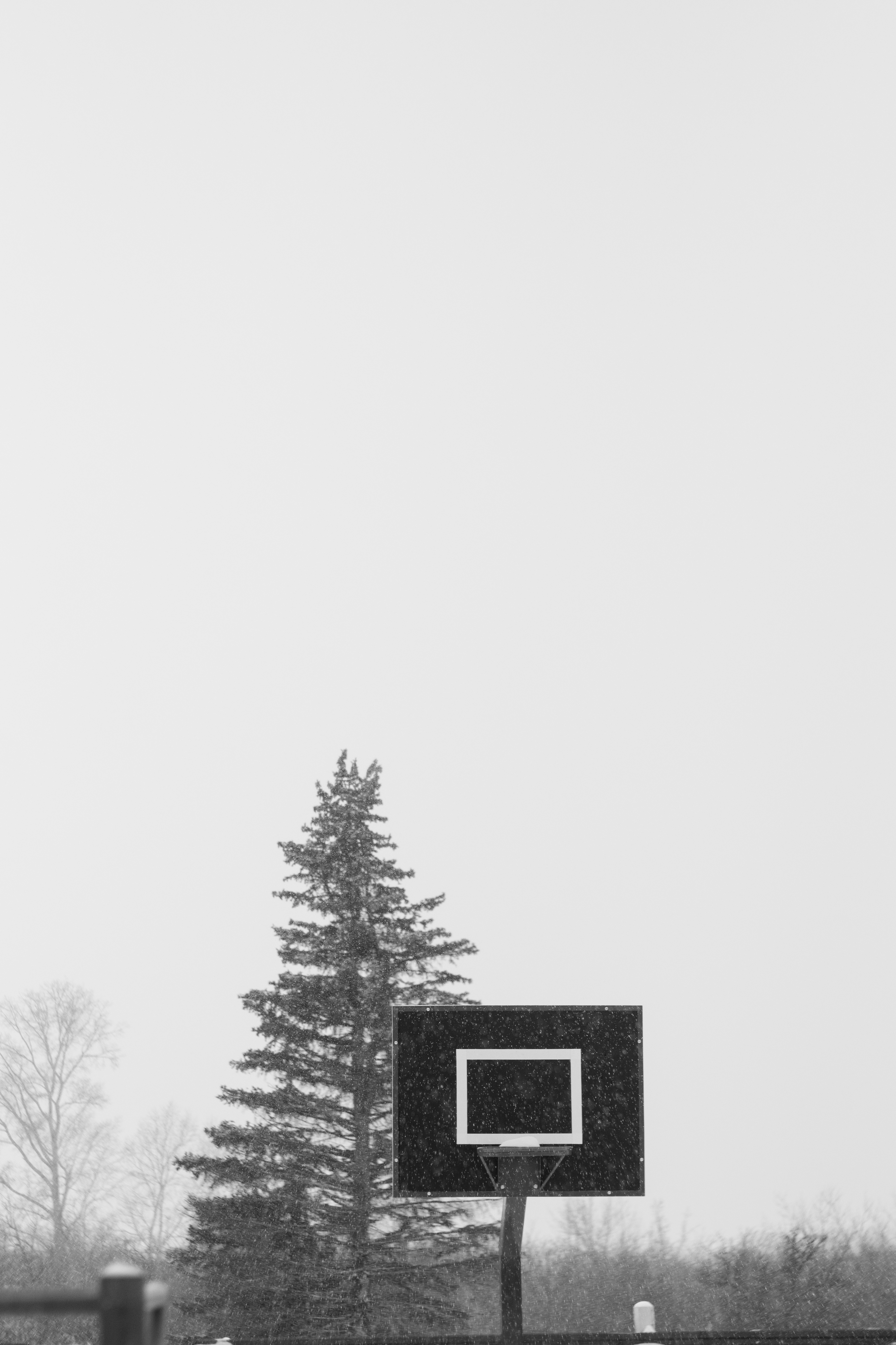 a black and white photo of a basketball court