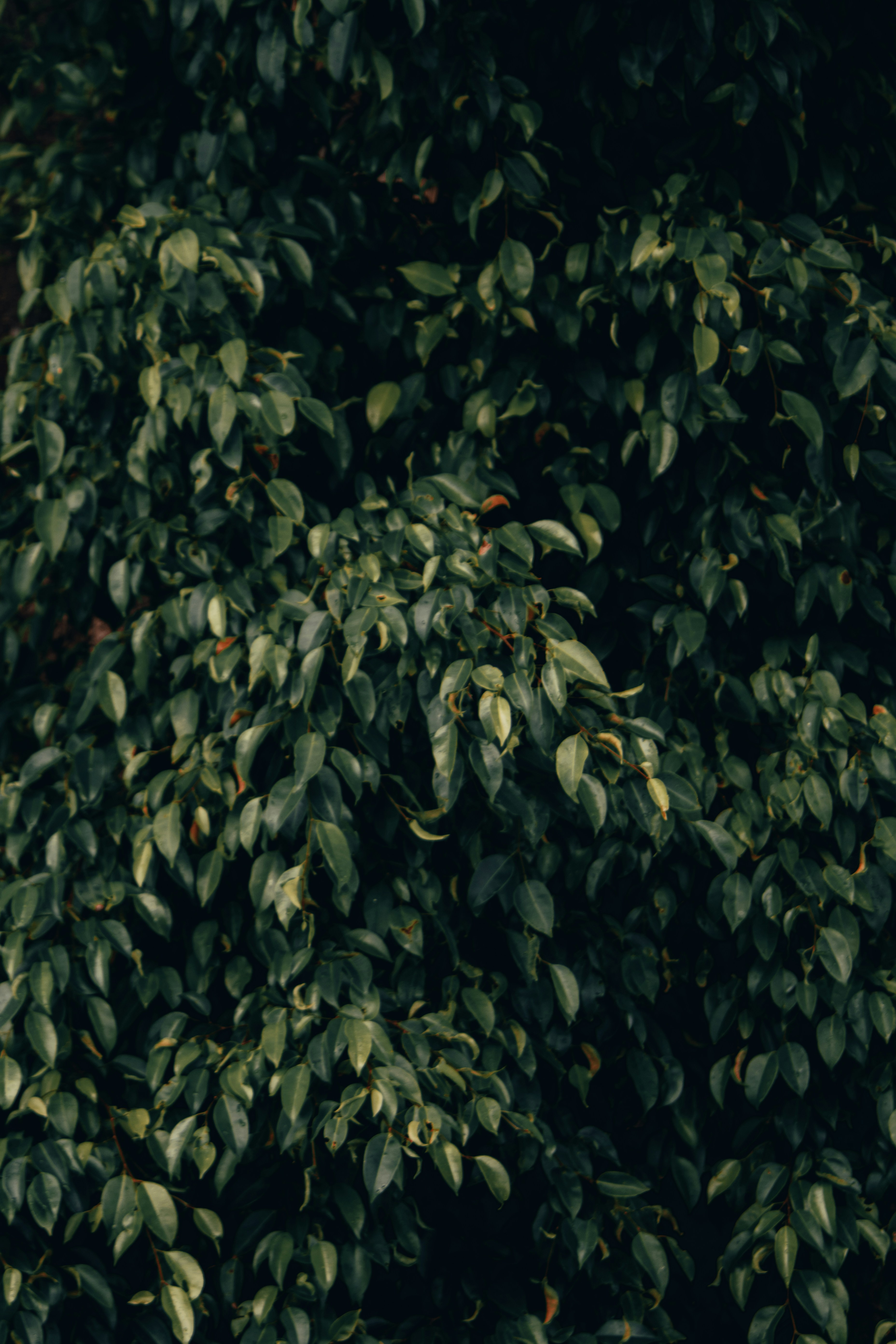 Photo by shot_by_lucid