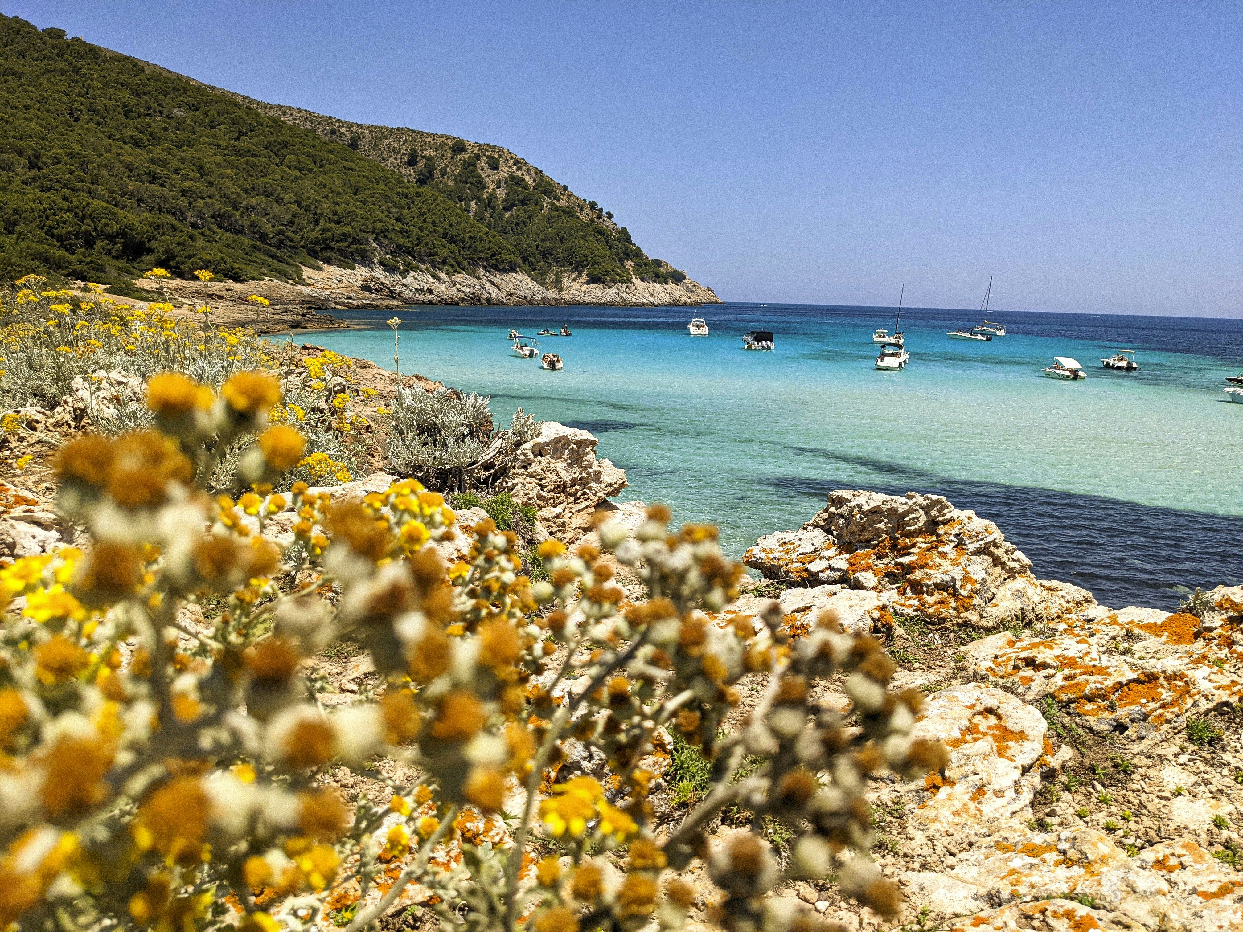 Photo by andreblanco