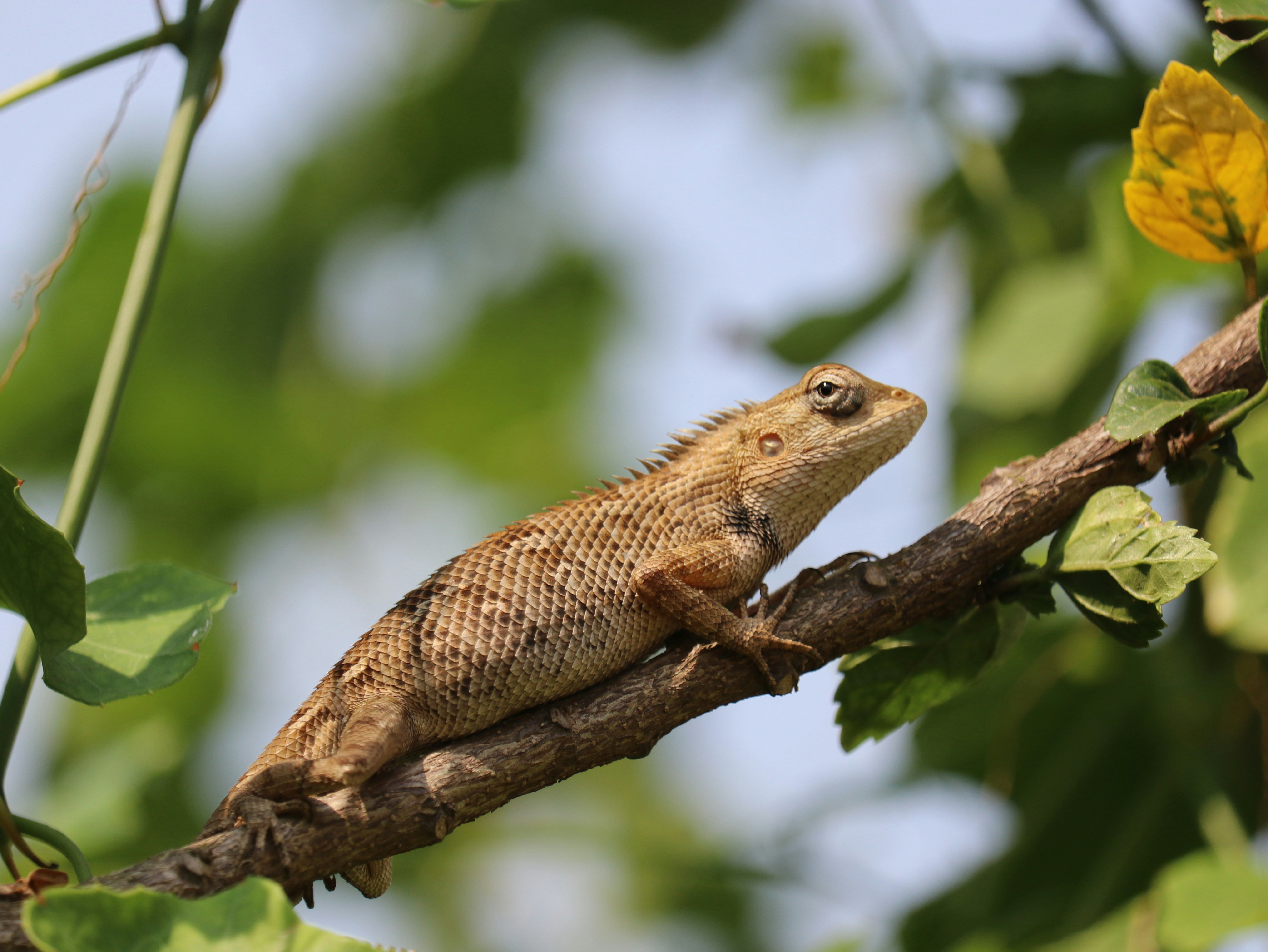 Photo by sanketh1999