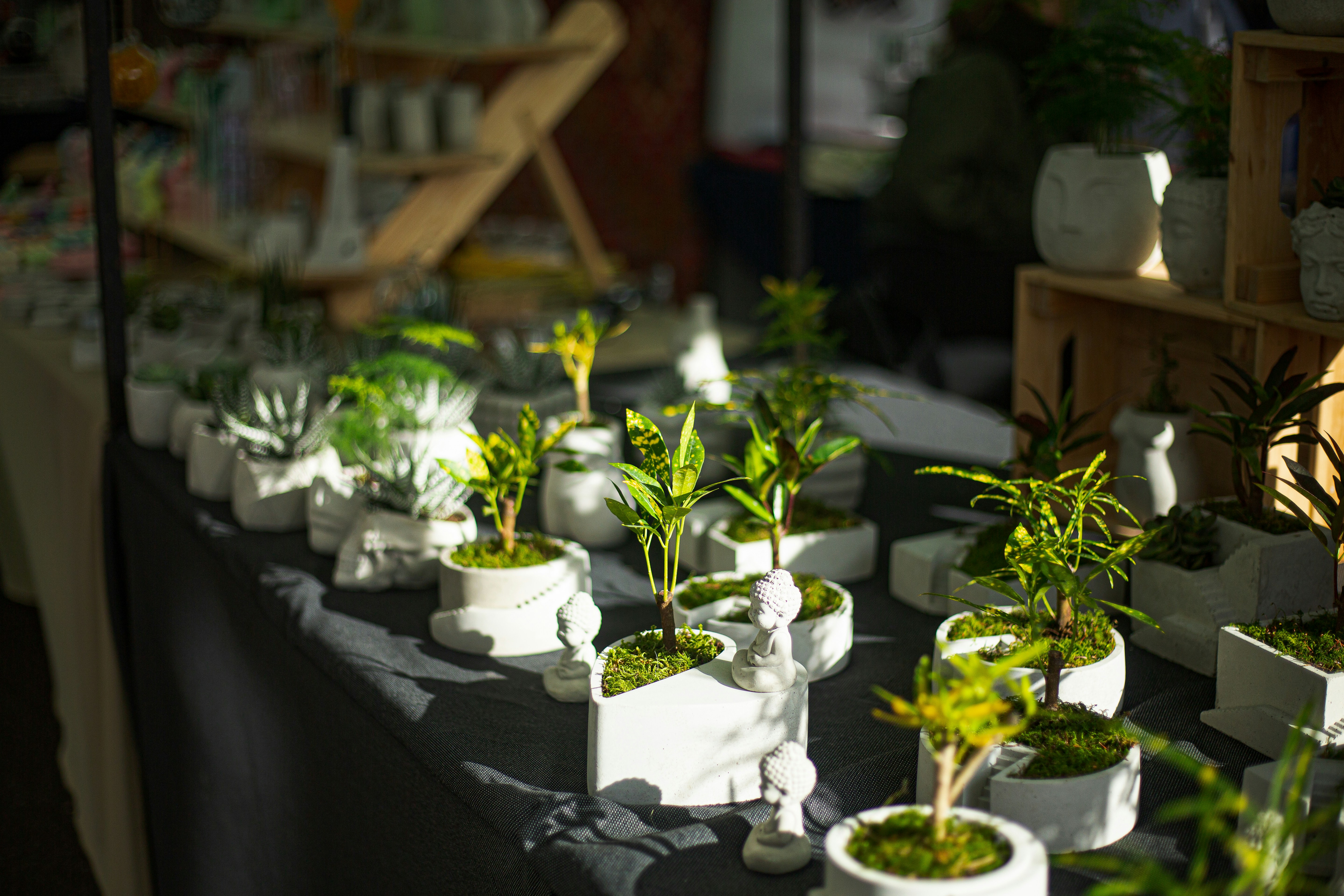 Plants at Broadway Market