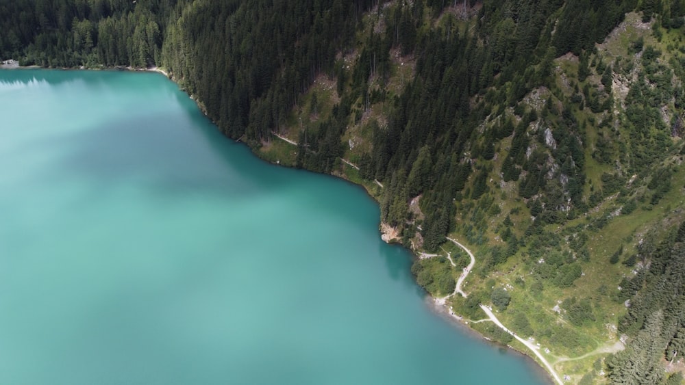 a large body of water surrounded by trees