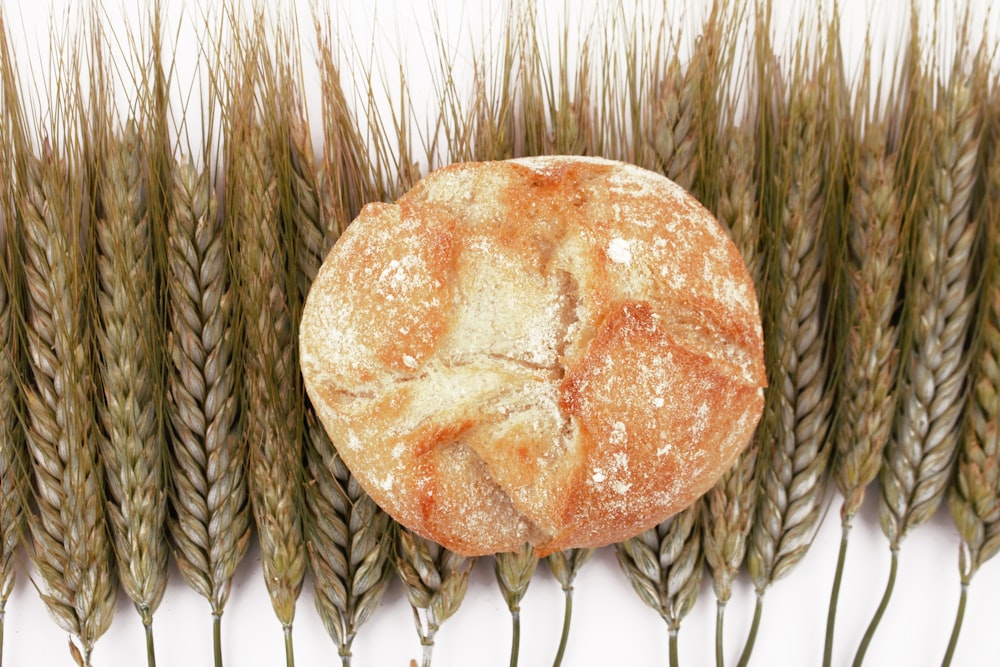 a piece of bread sitting on top of a pile of wheat