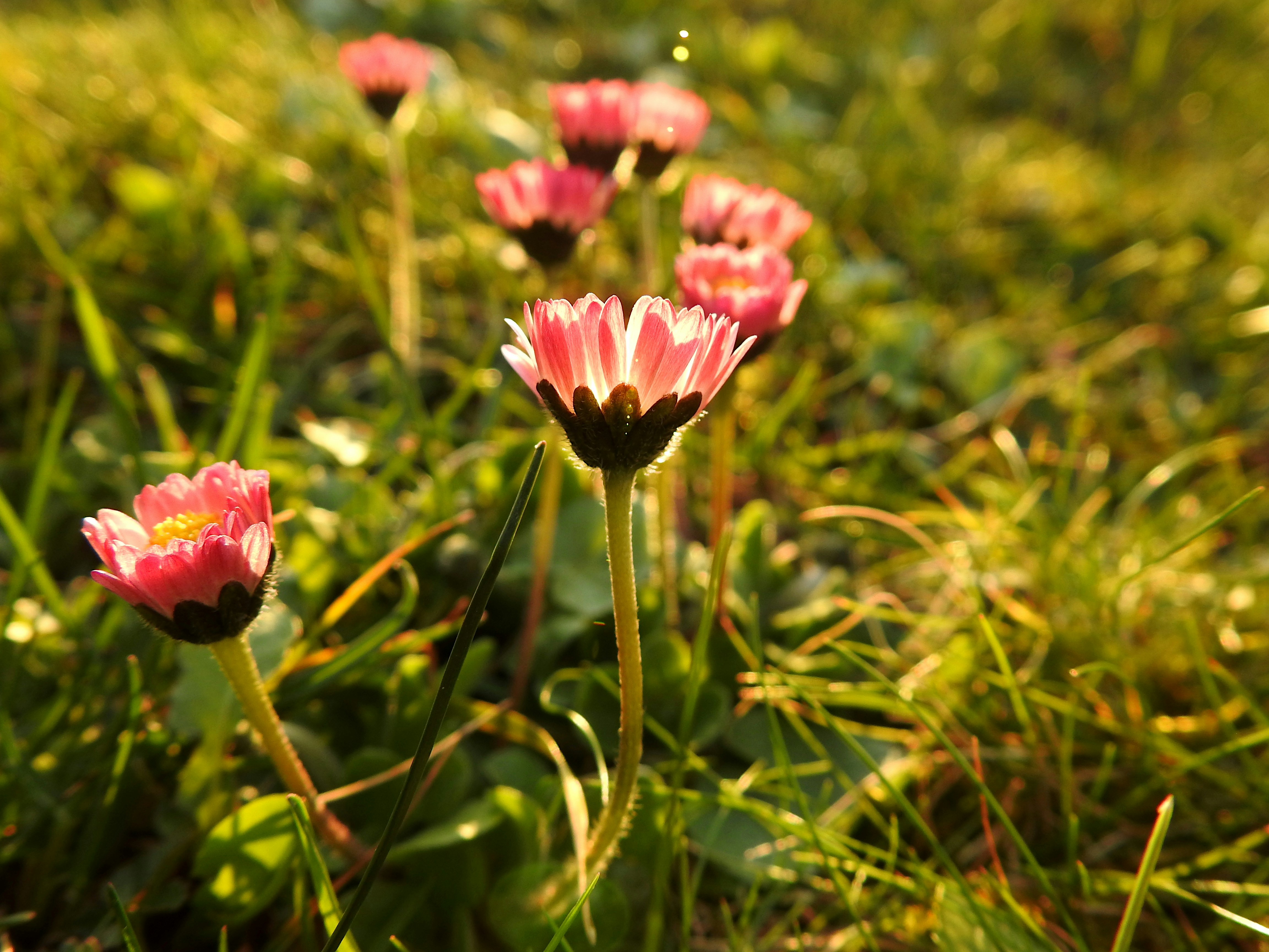 Photo by artemisdesign