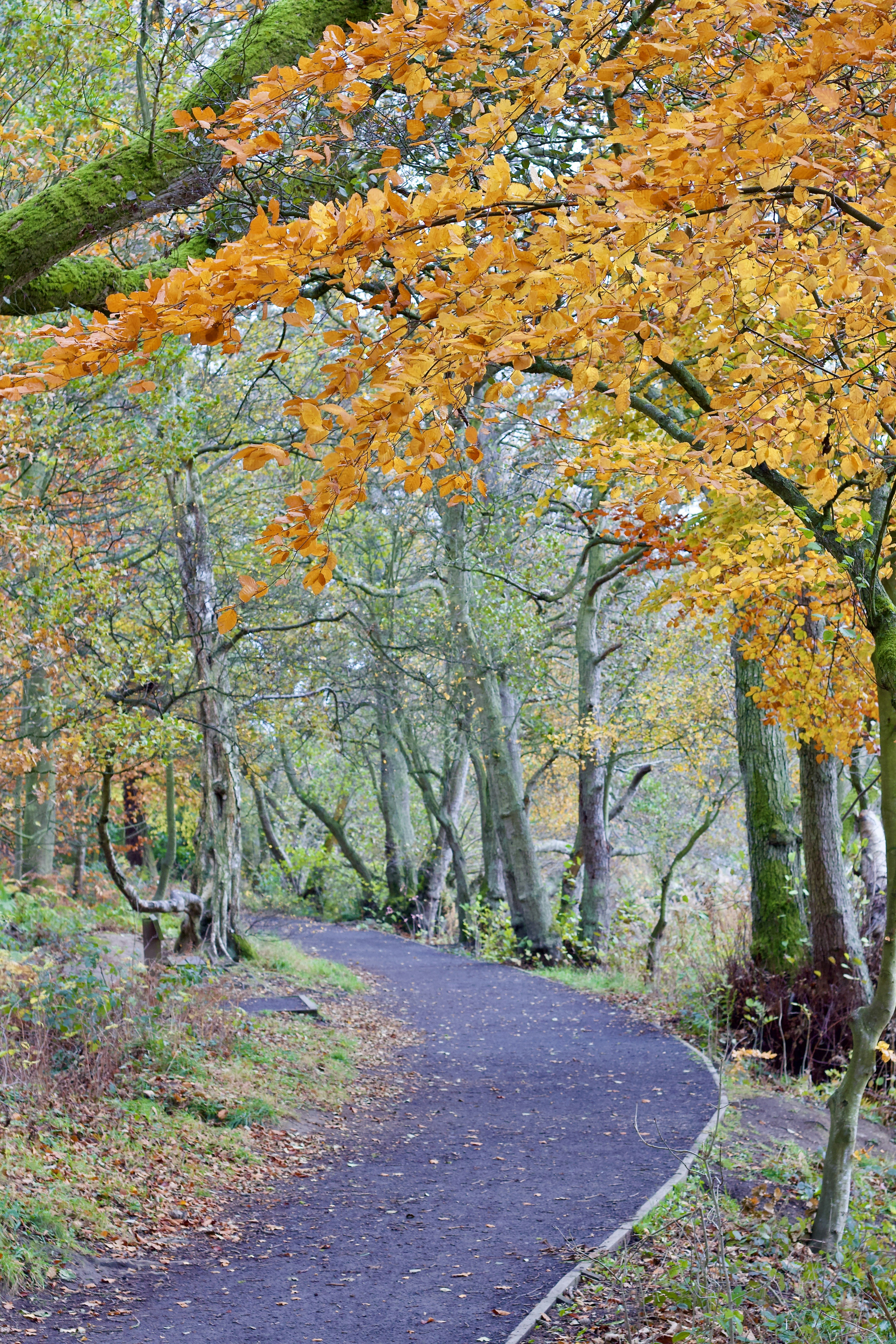 Photo by eleonoramir