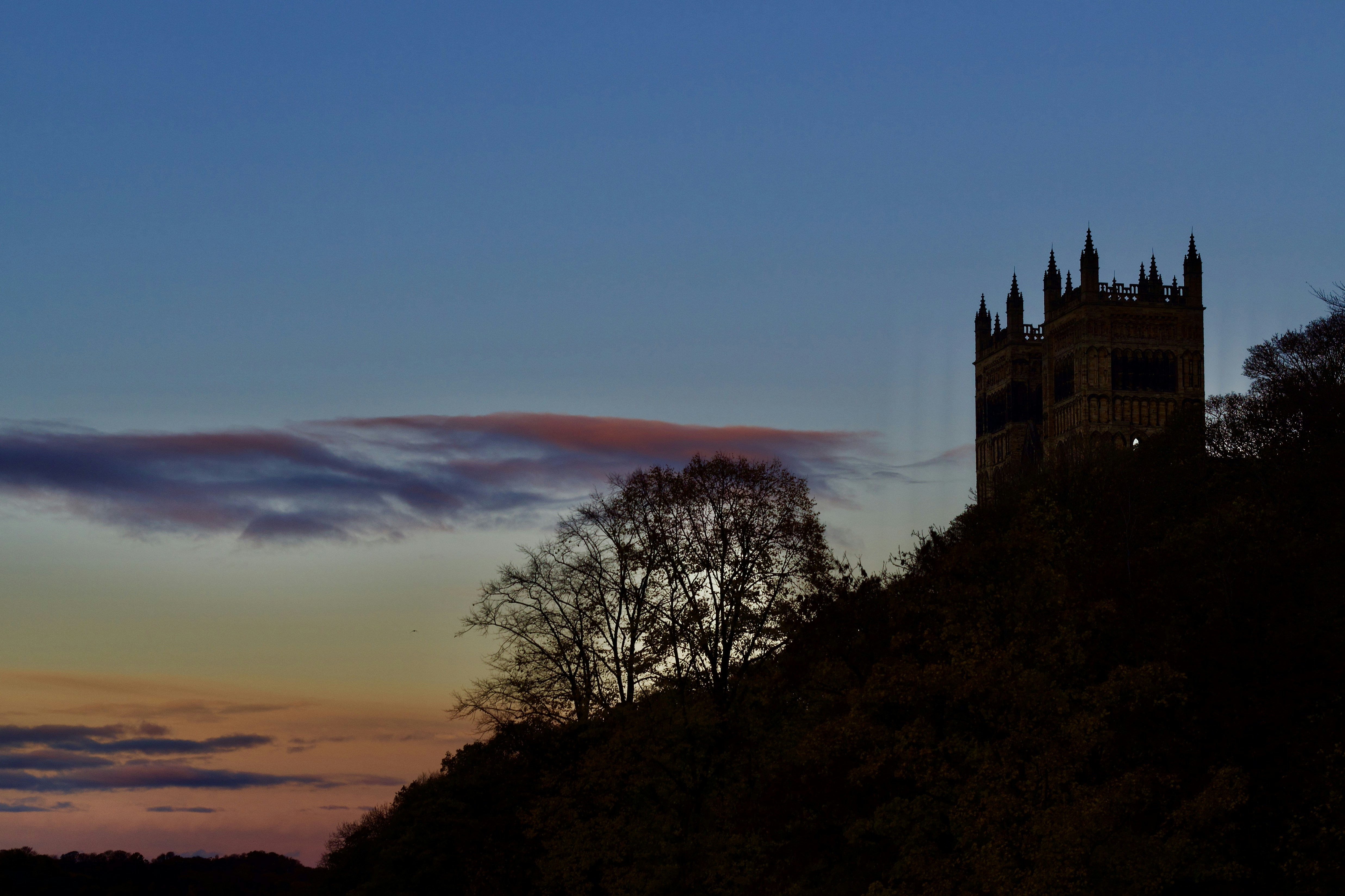 Photo by eleonoramir