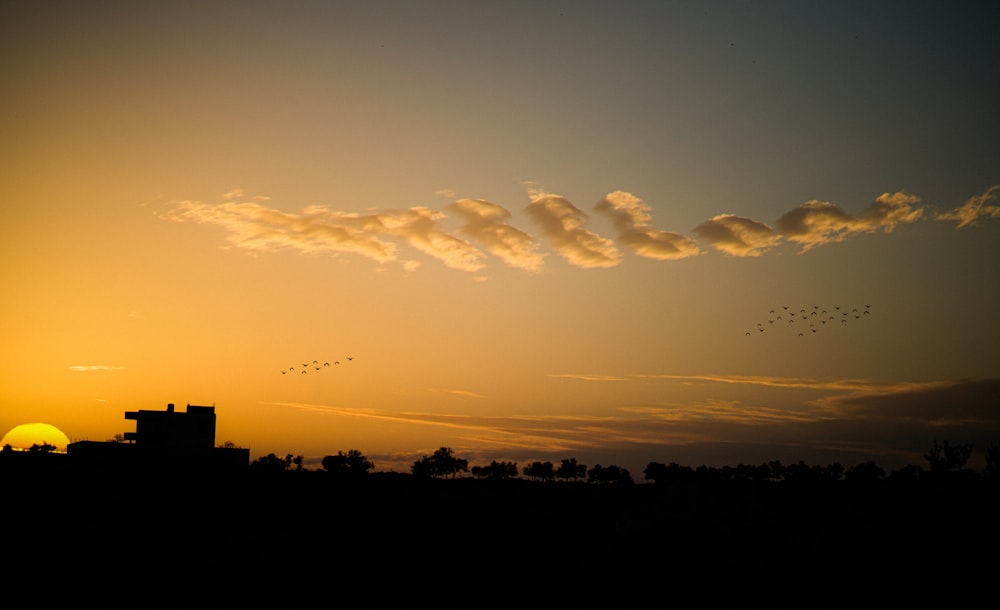 a sunset with a flock of birds flying in the sky