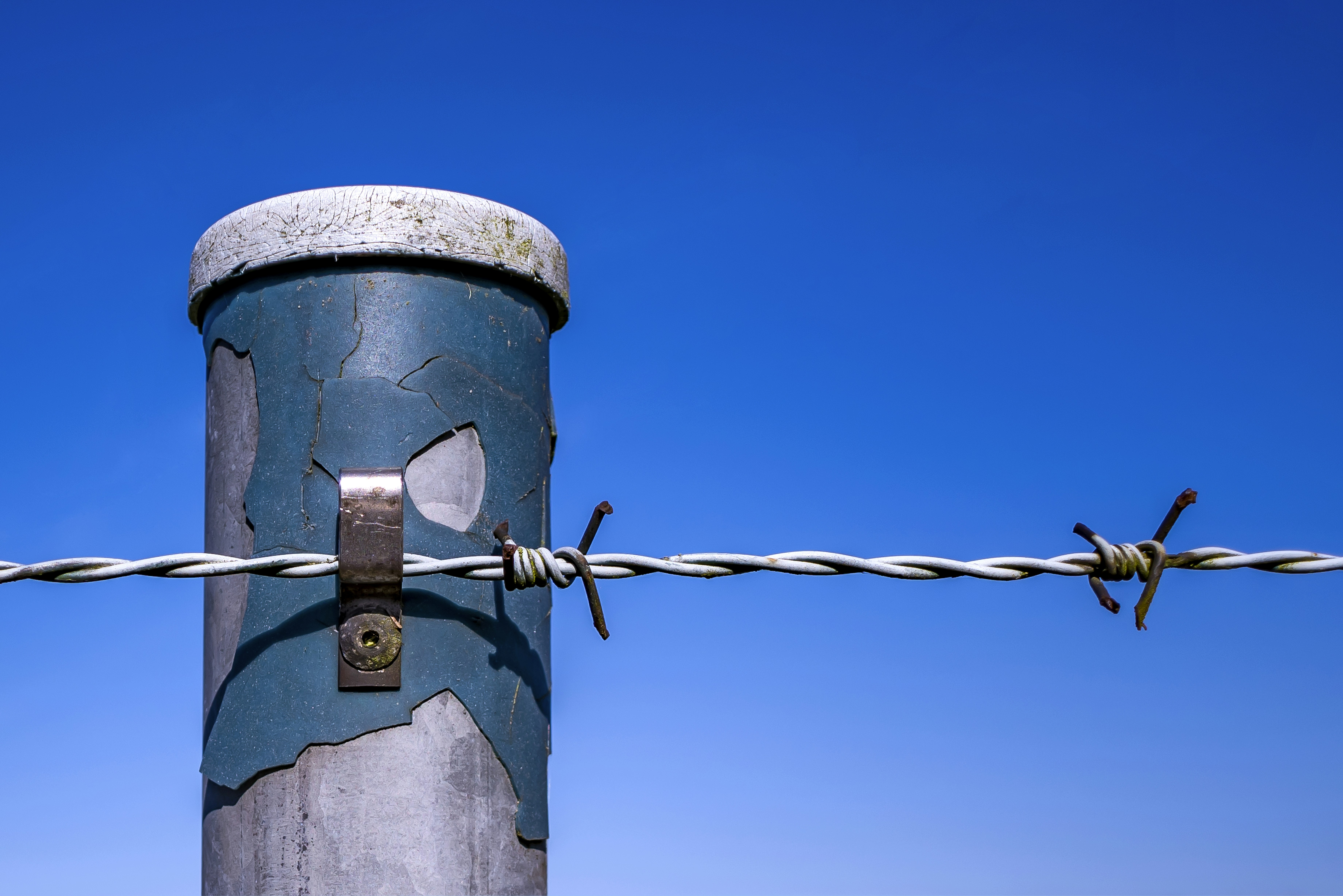 Un primo piano di un filo spinato con un cielo blu sullo sfondo