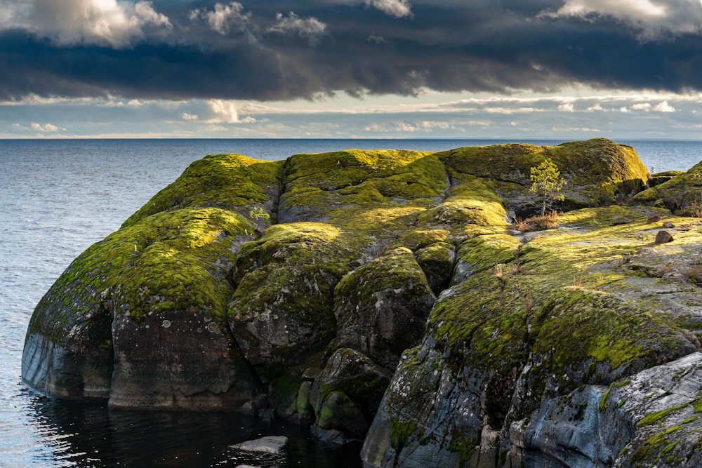 a rocky outcropping with moss growing on it