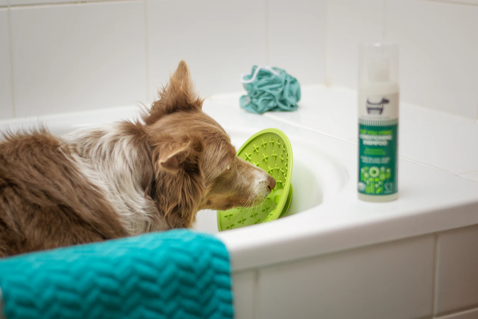 Best Lick Mats for Dogs: A Good Tool With an Overstated Claim
