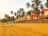 A sandy beach lined with colorful elevated huts in a tropical setting, surrounded by tall palm trees. Some people can be seen walking or engaging in activities on the beach, with a clear sky above providing a warm and relaxing atmosphere.