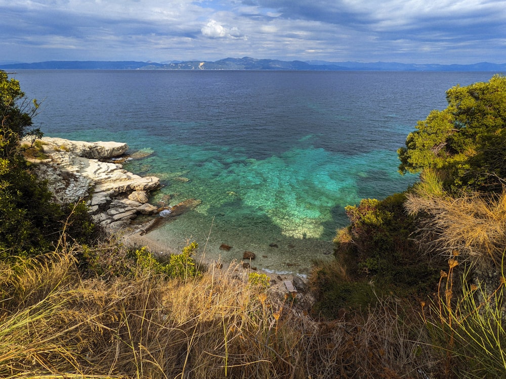 a body of water surrounded by trees and grass