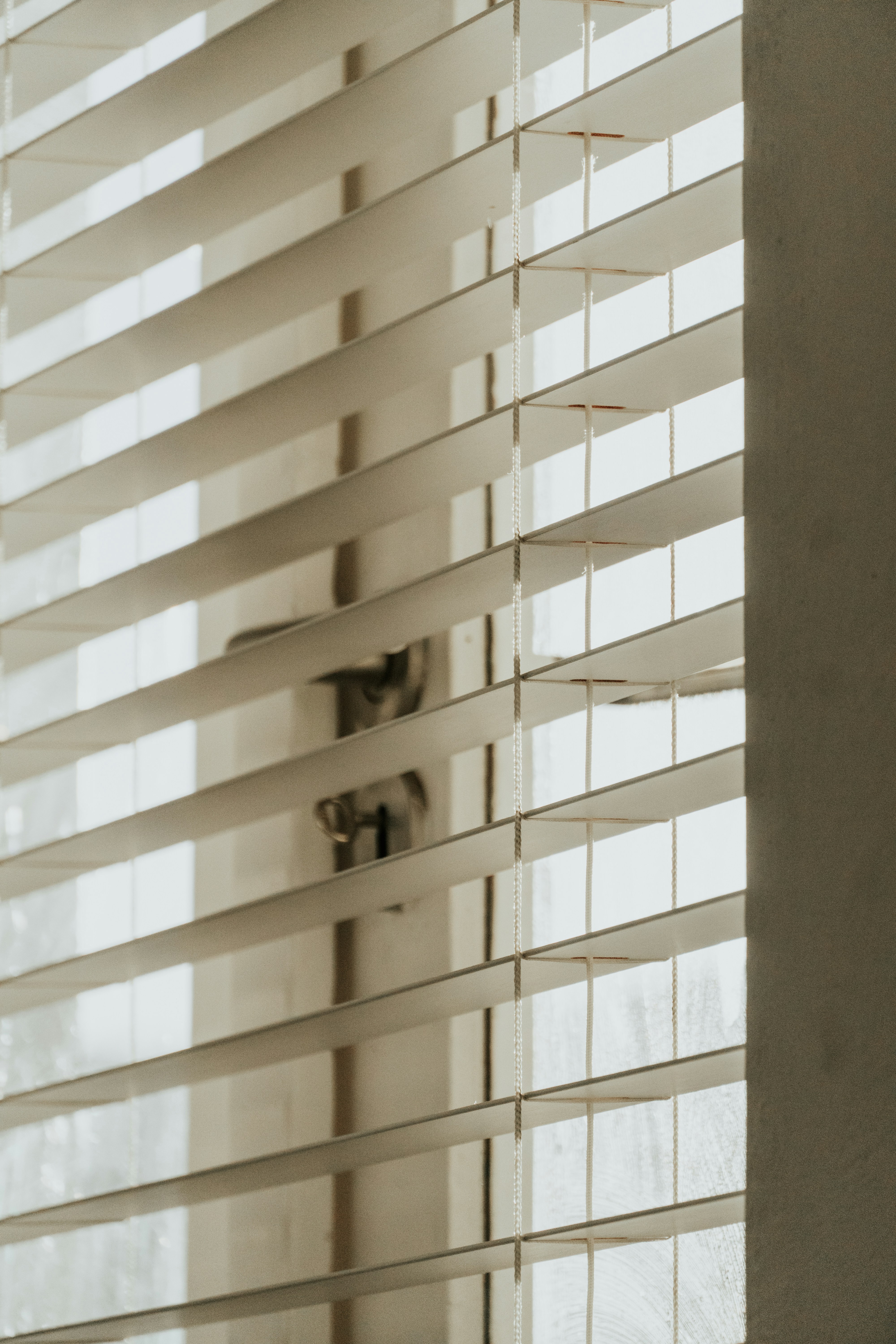 Custom Roller Shades