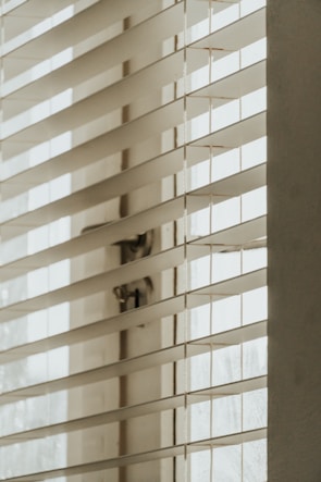 Close-up of sleek, modern blinds partially open, letting in soft natural light.