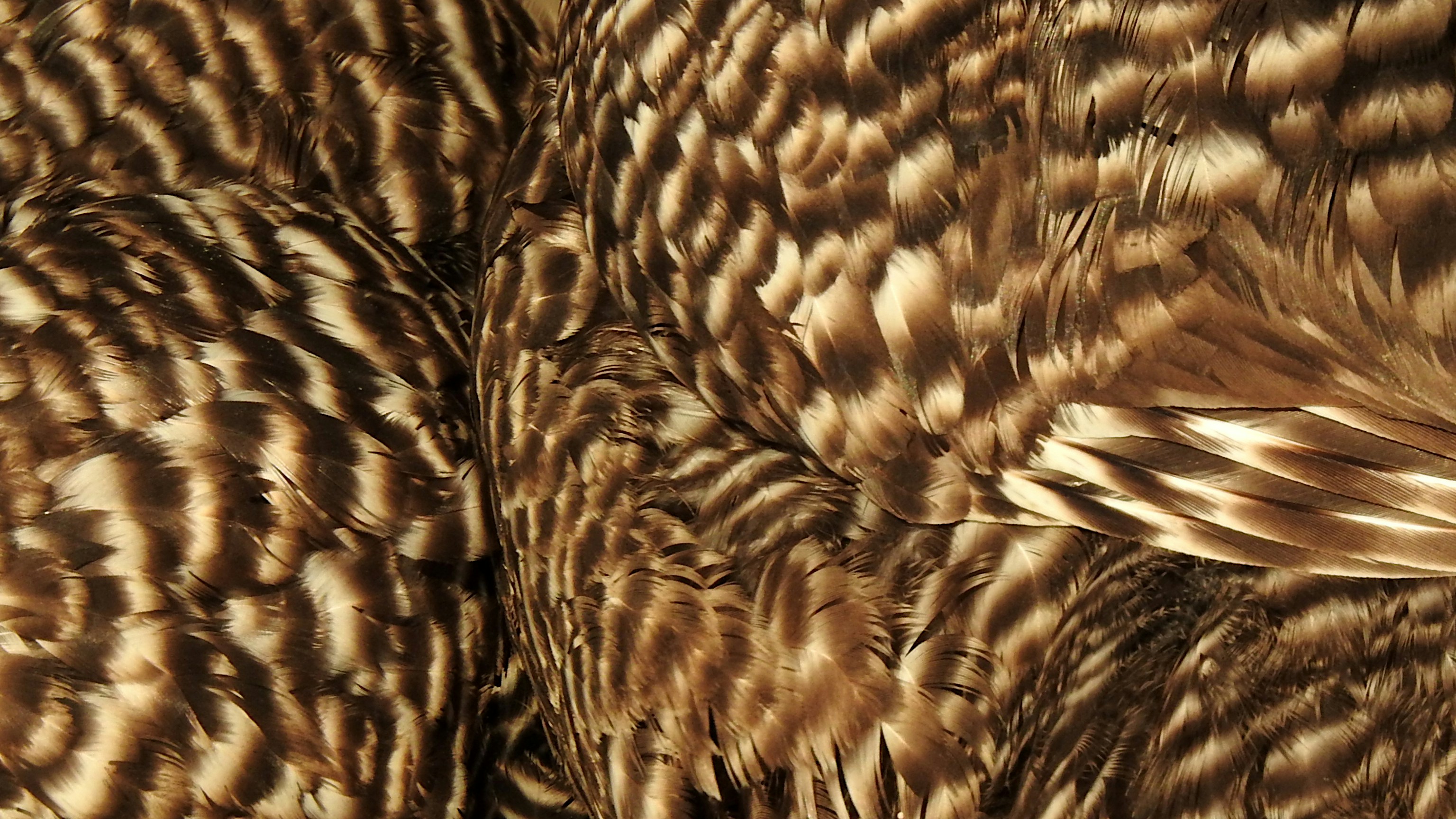 Photo by artemisdesign