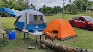 A camping scene set in a grassy area surrounded by trees and greenery. There are two tents, one large blue and gray tent, and one smaller orange tent. A red car is parked nearby. A brown dog is seen walking beside a fallen log, and there are camping supplies including a white folding table with items on it. The sky is cloudy.