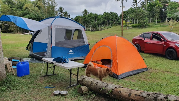 A camping scene set in a grassy area surrounded by trees and greenery. There are two tents, one large blue and gray tent, and one smaller orange tent. A red car is parked nearby. A brown dog is seen walking beside a fallen log, and there are camping supplies including a white folding table with items on it. The sky is cloudy.