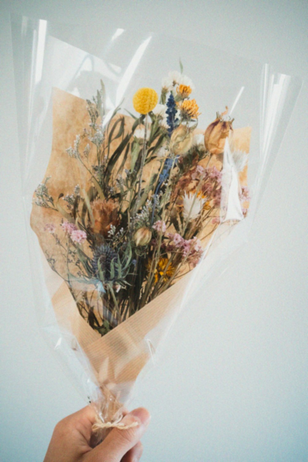 a hand holding a bouquet of wild flowers