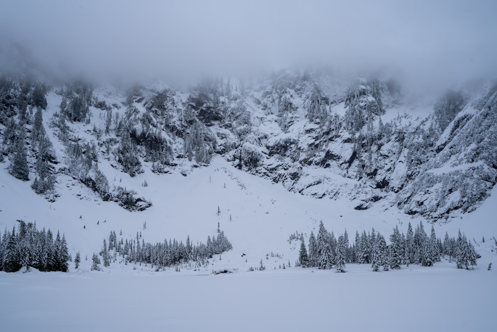 a mountain covered in snow with trees in the foreground