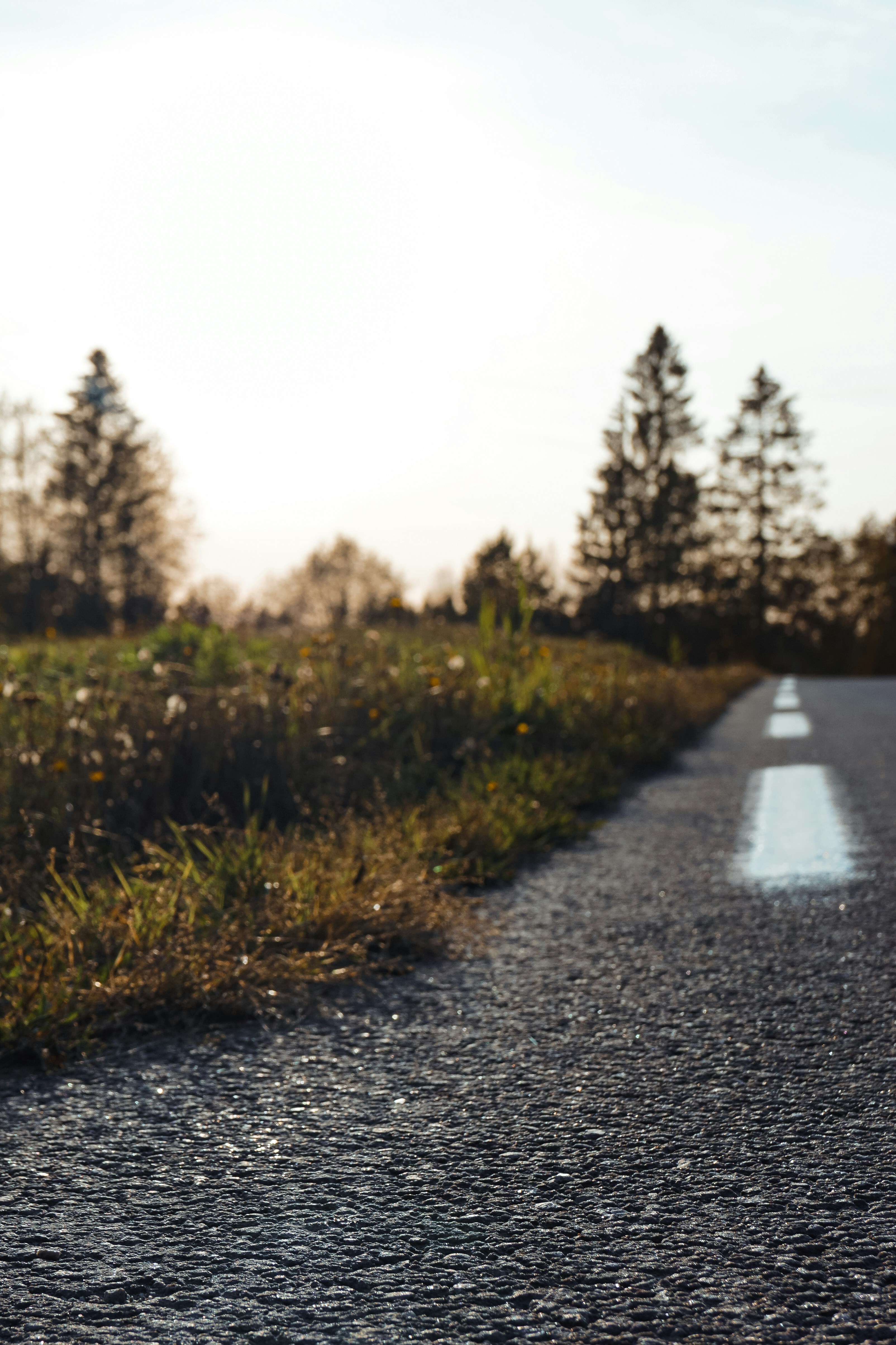 Photo by teddywithfilm