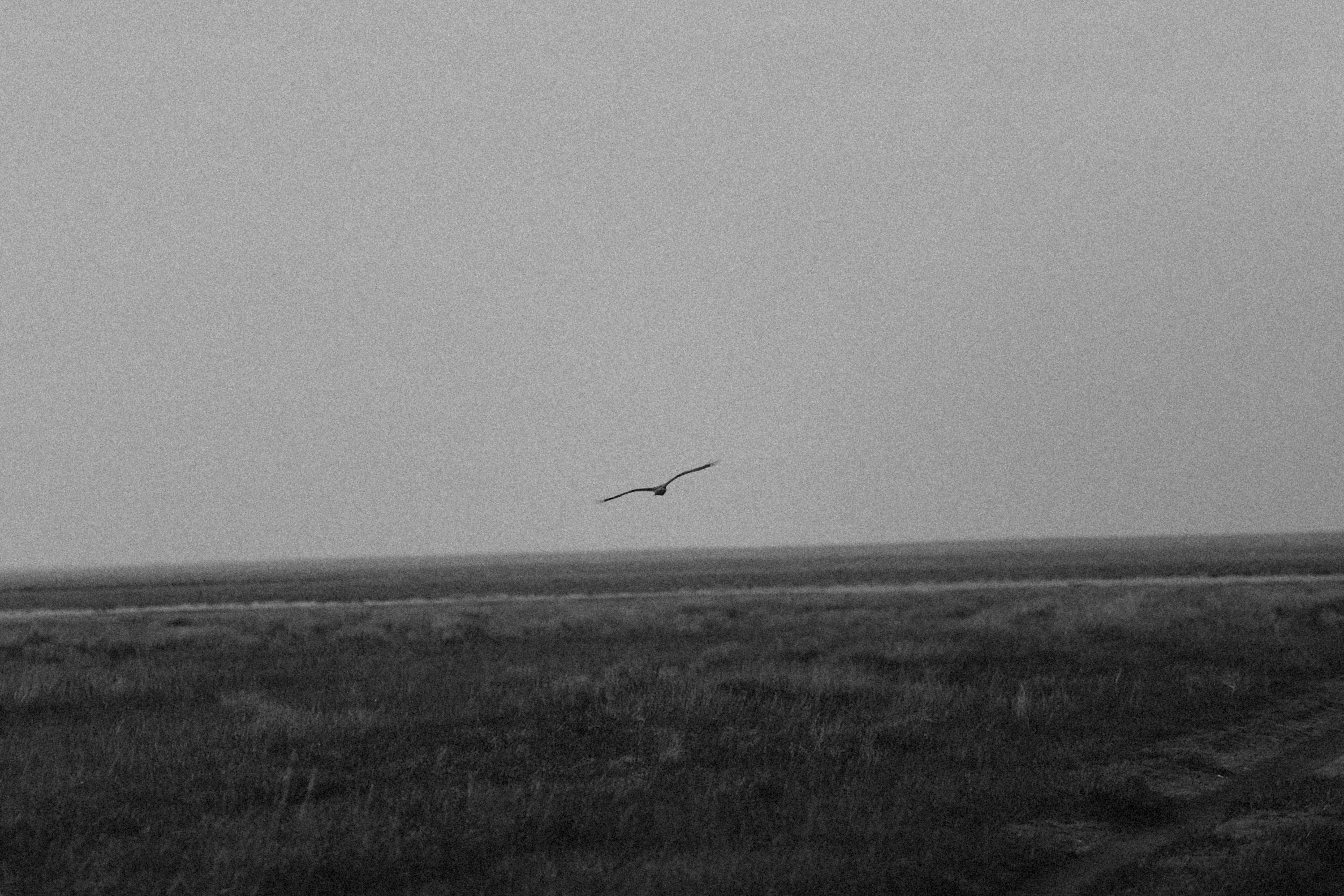 Photo by alexeydemidov