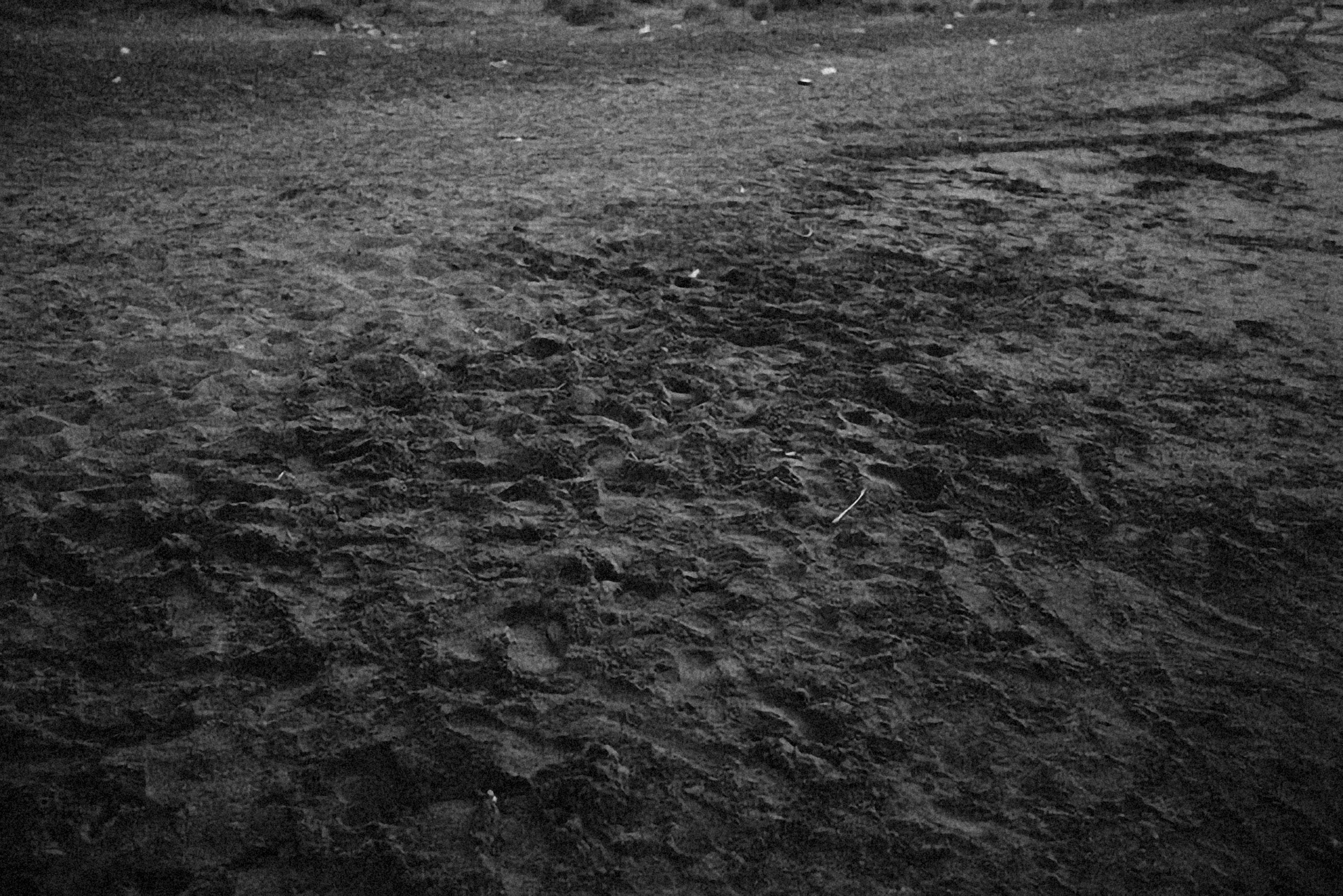 Photo by alexeydemidov