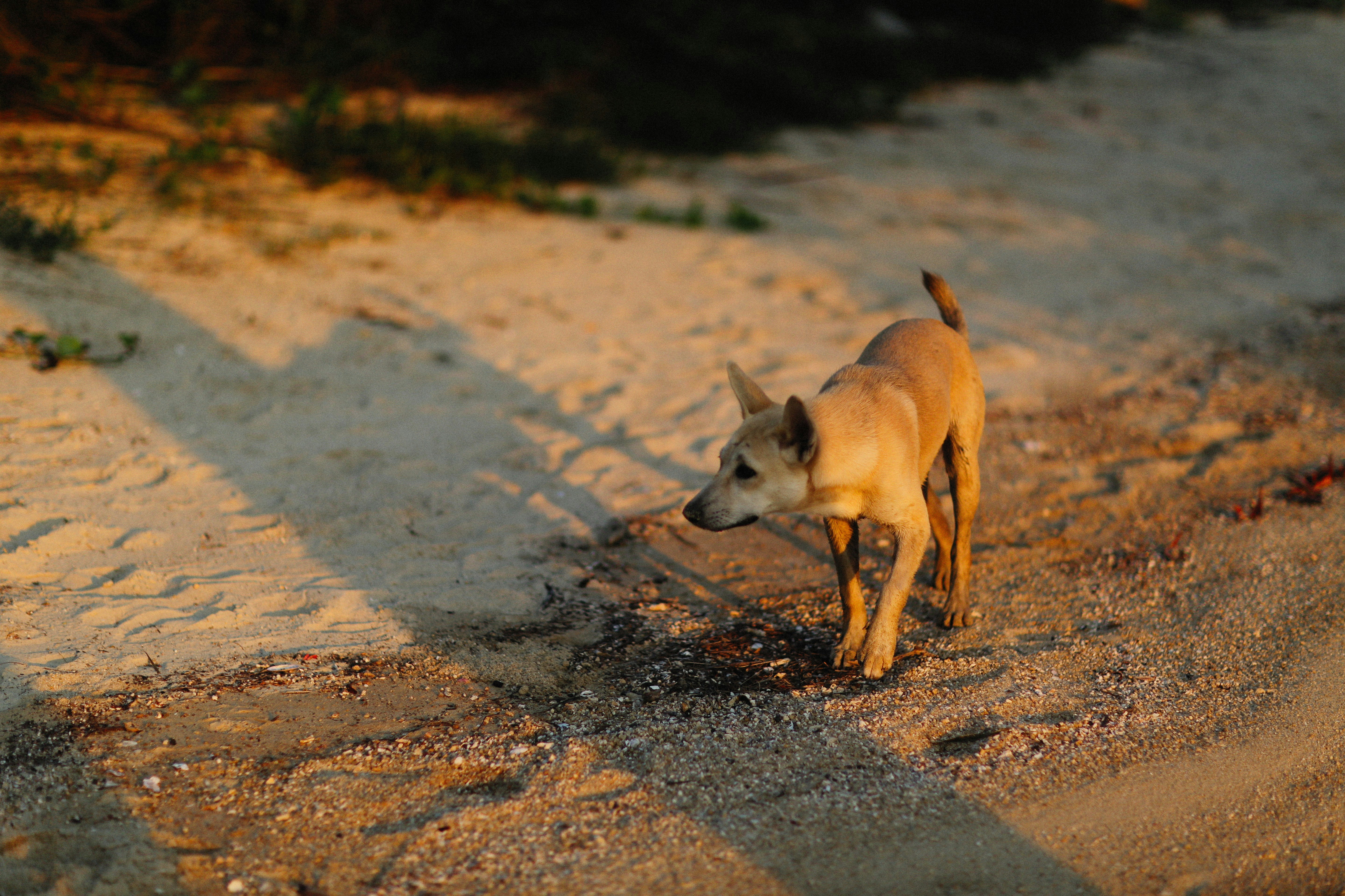 Photo by alexeydemidov