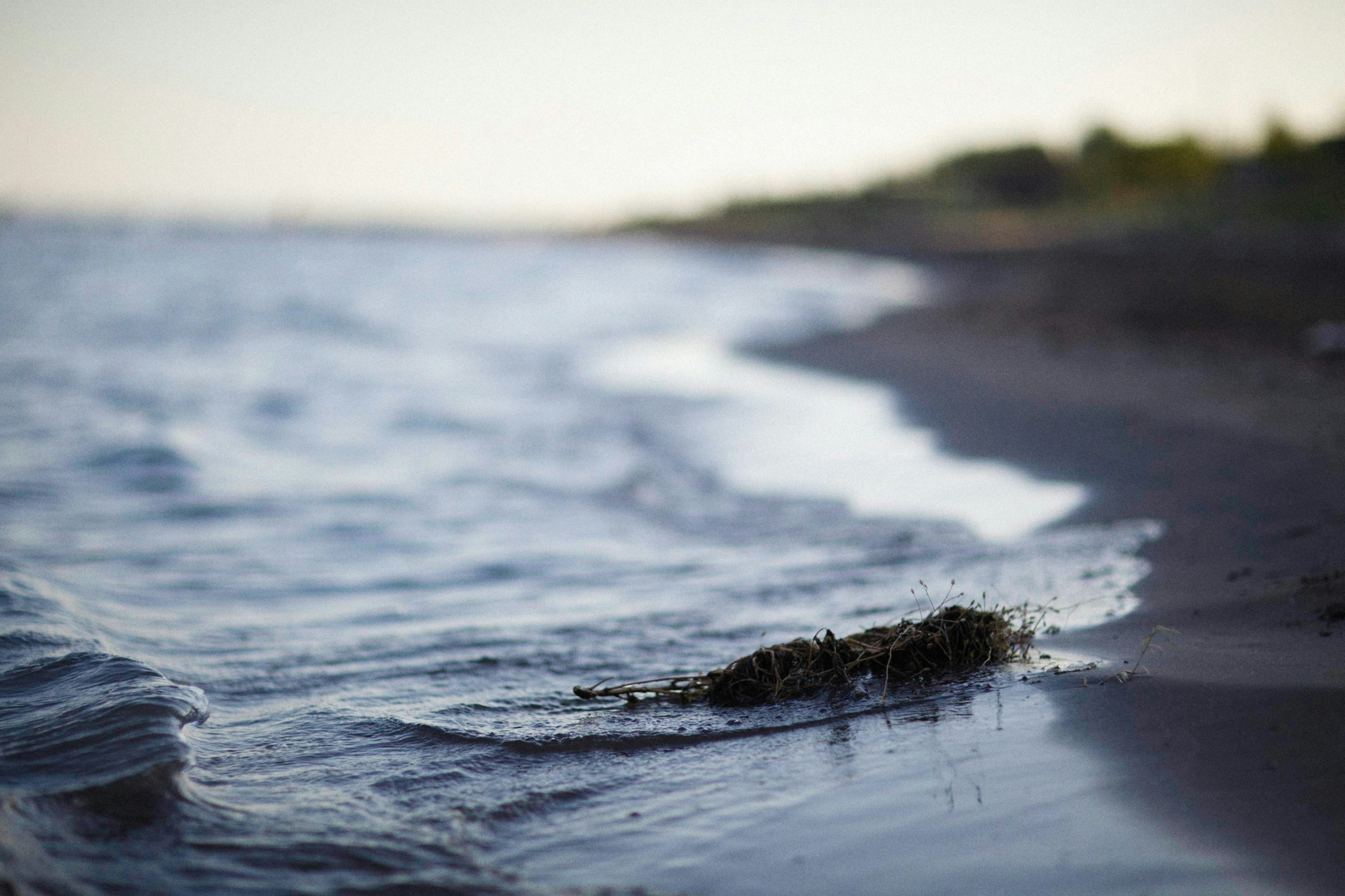 Photo by alexeydemidov