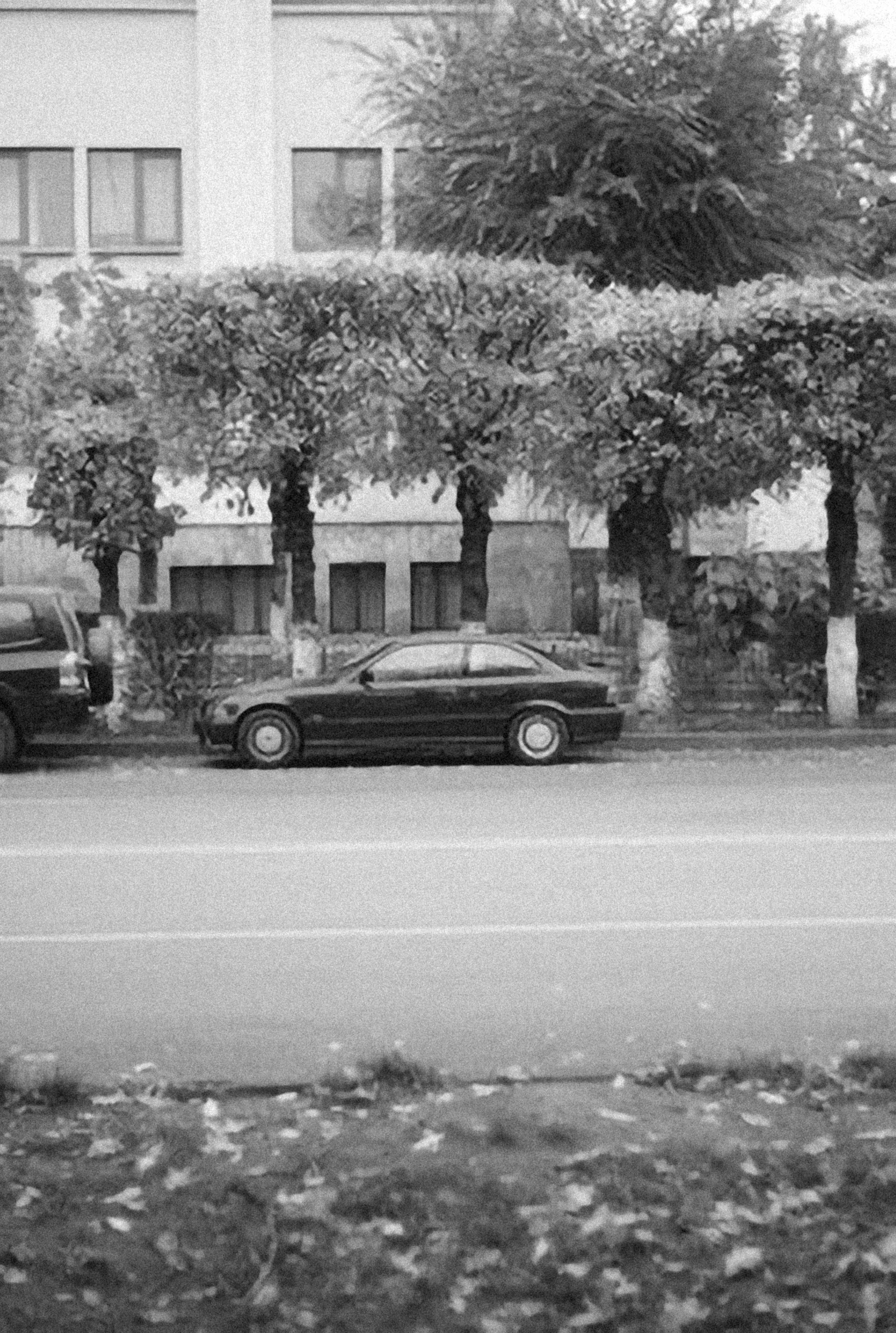 Photo by alexeydemidov