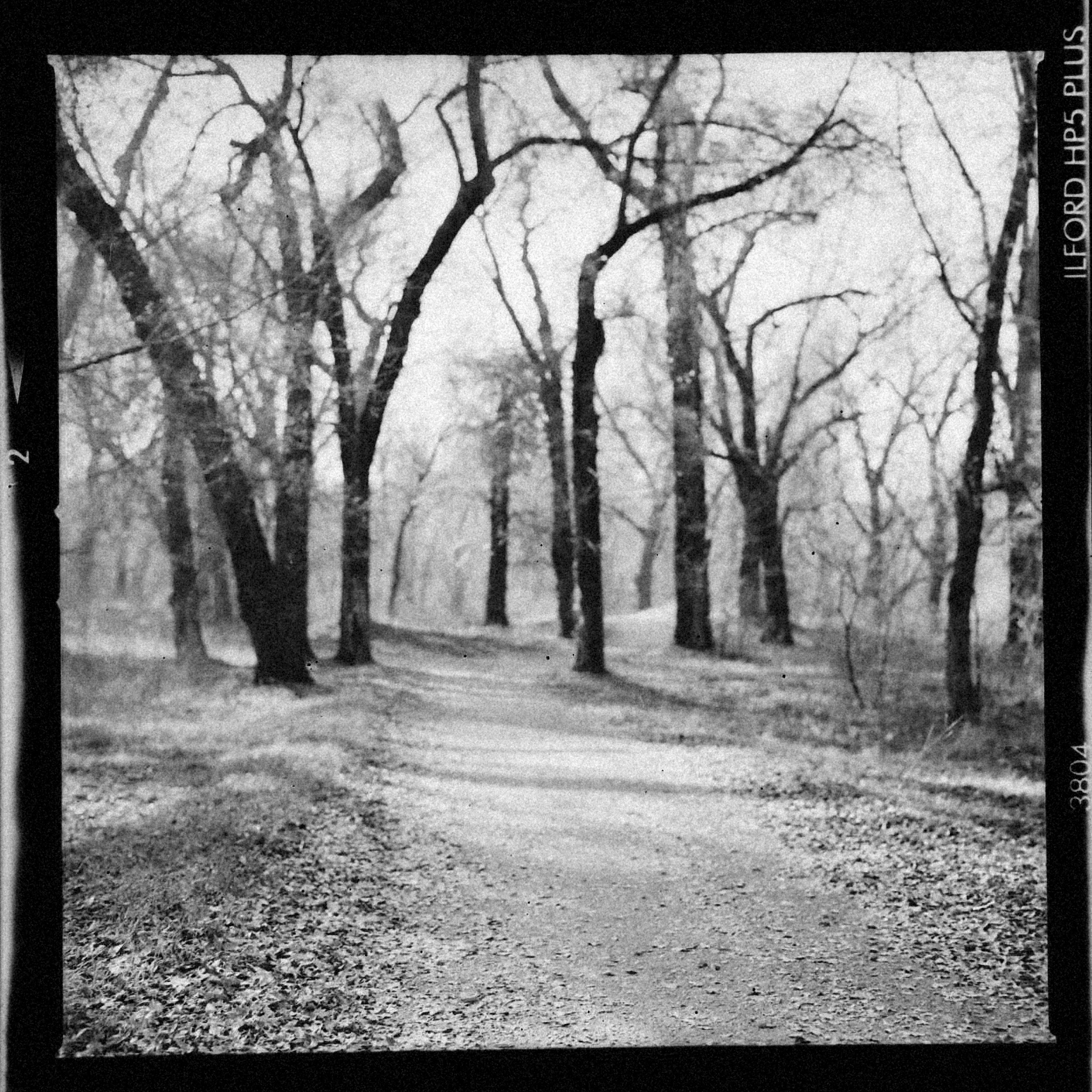 Photo by alexeydemidov