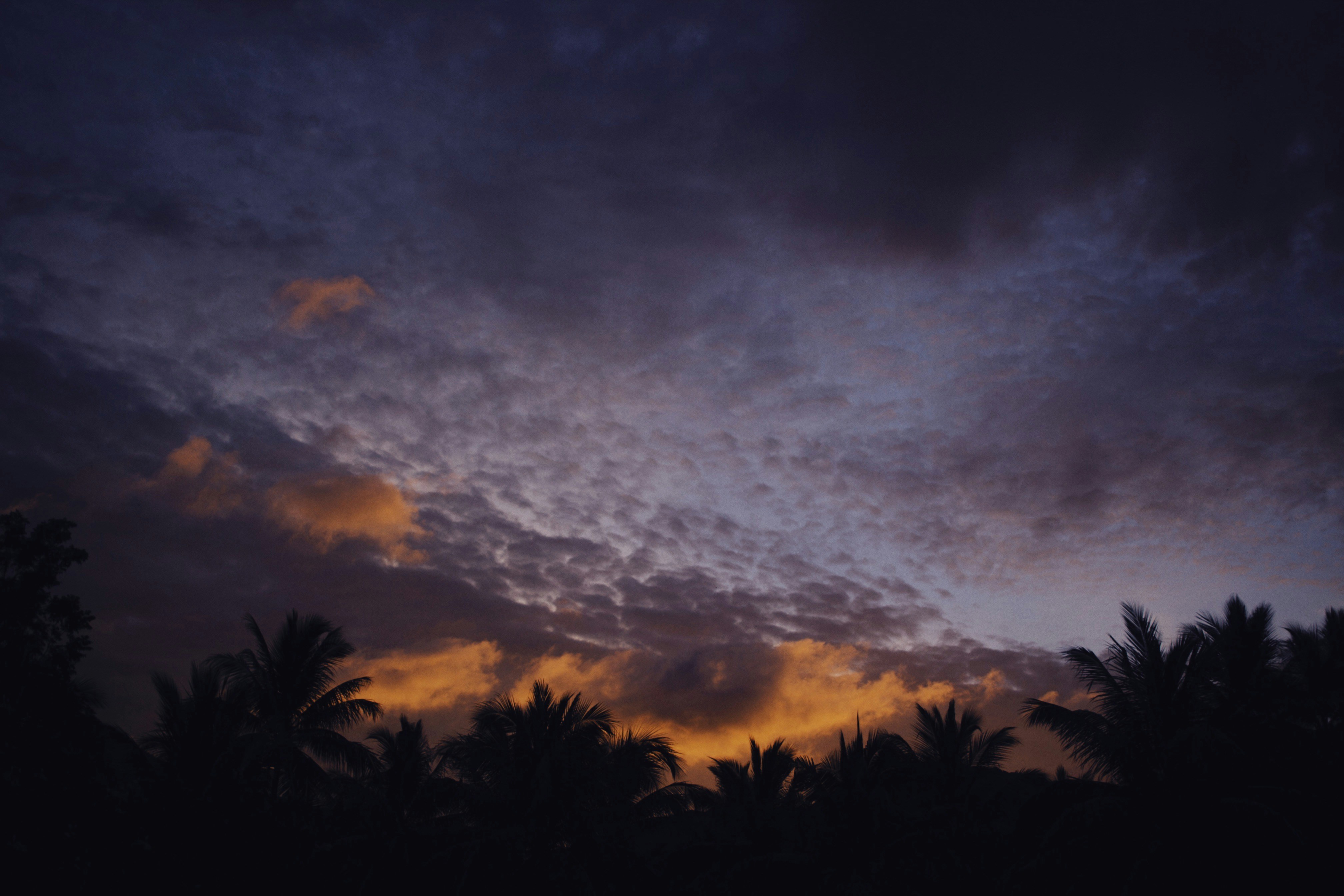 Photo by alexeydemidov