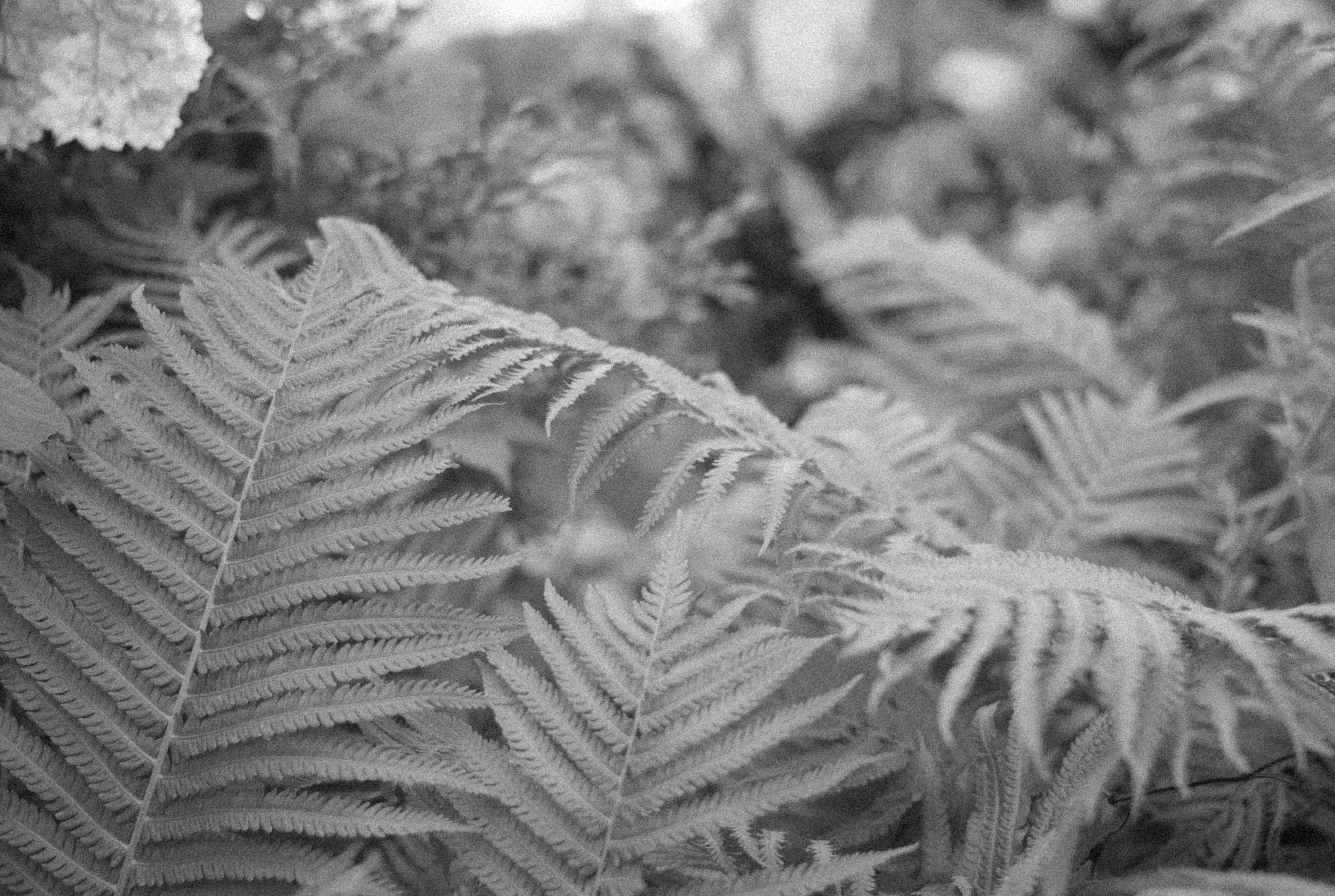 Photo by alexeydemidov