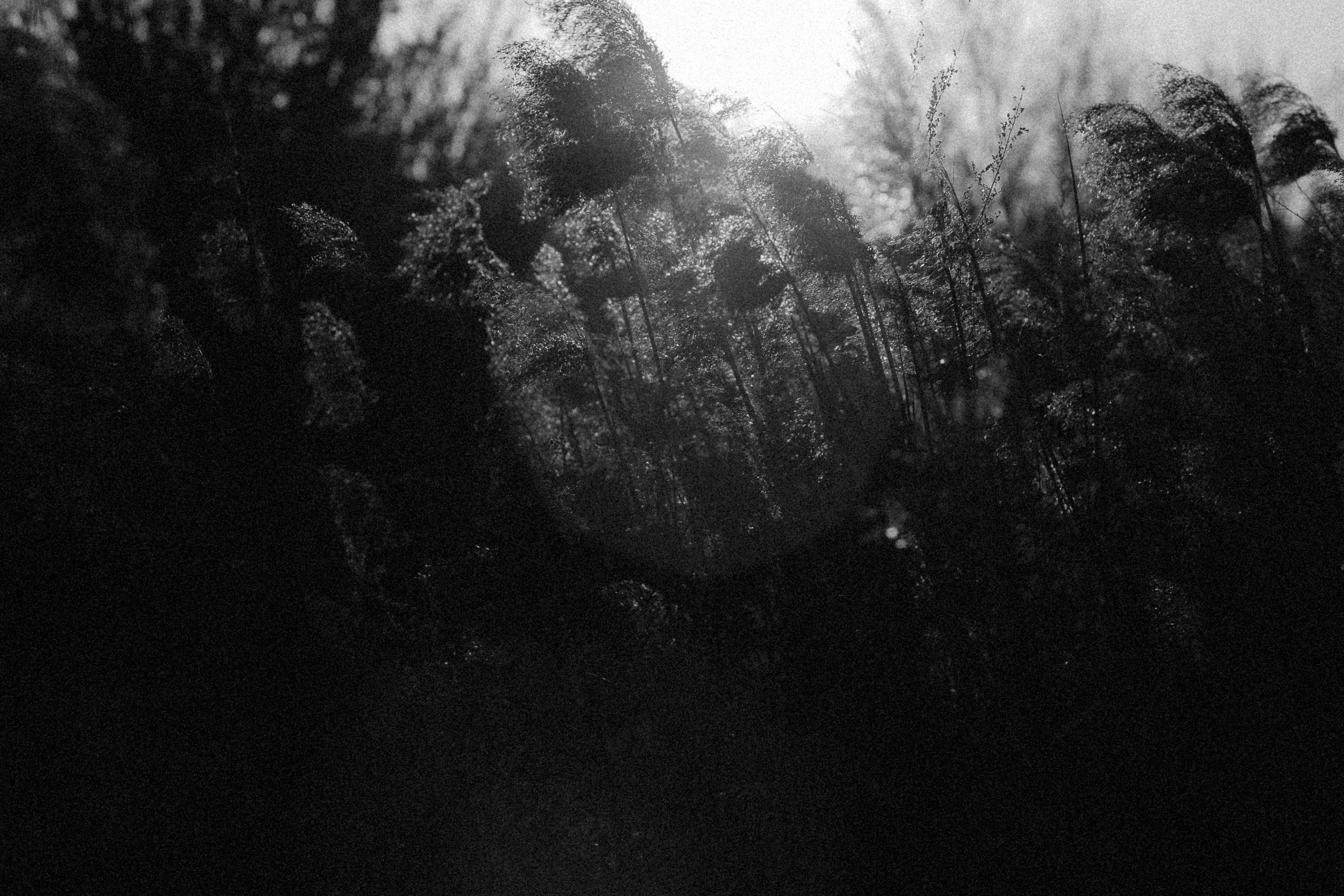 Photo by alexeydemidov