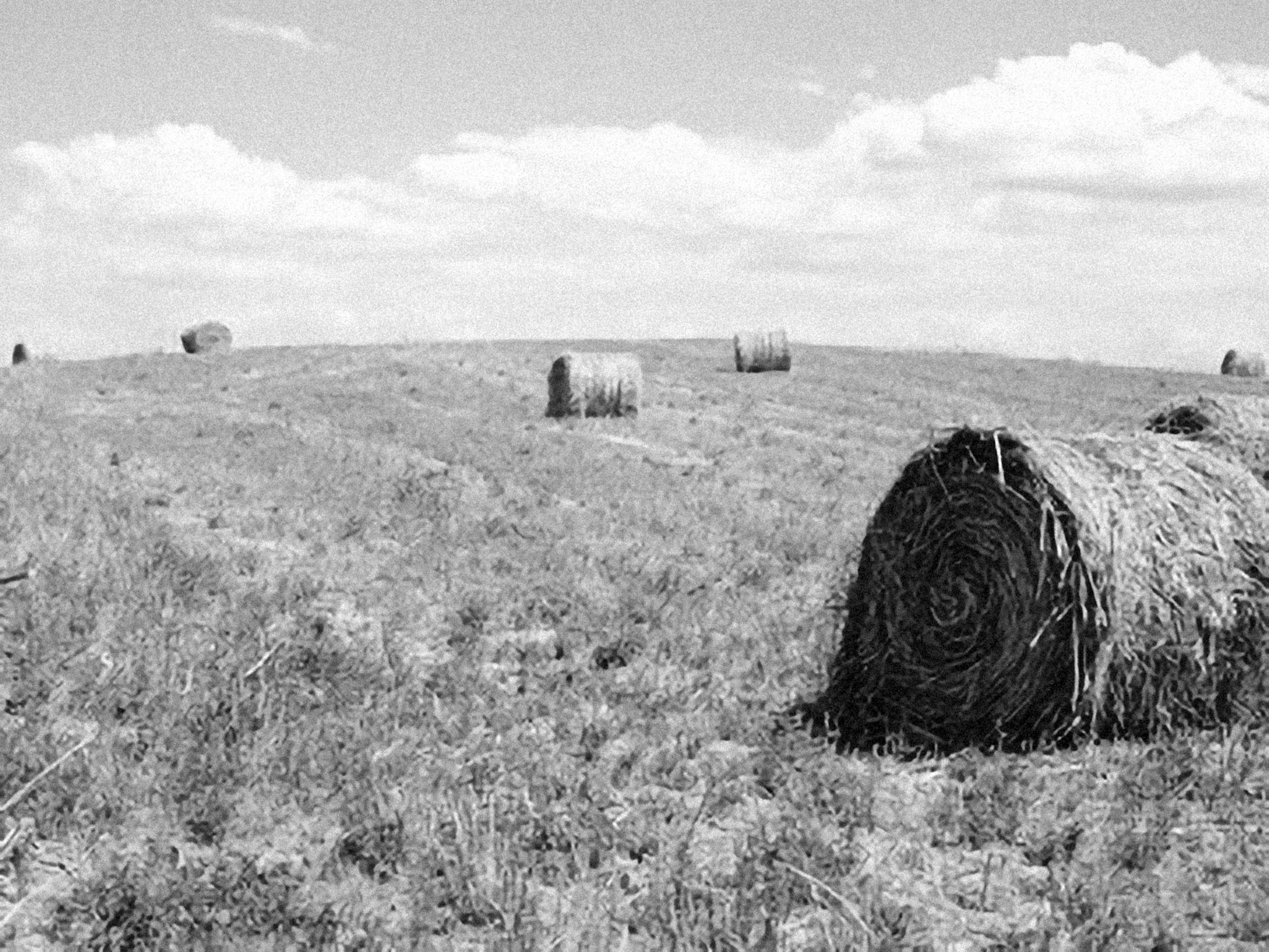 Photo by alexeydemidov