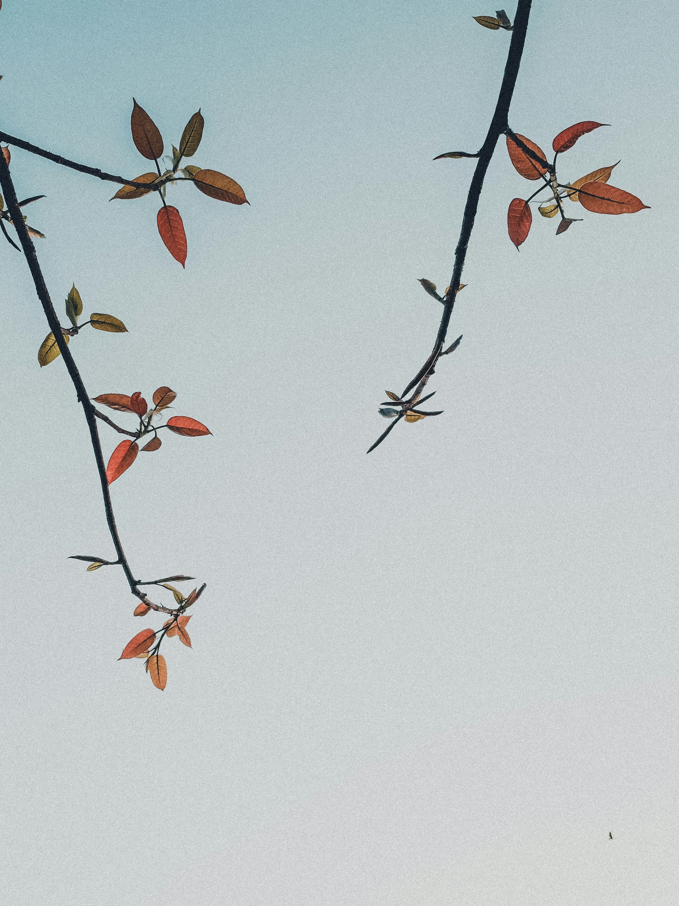 Photo by worthyvarad